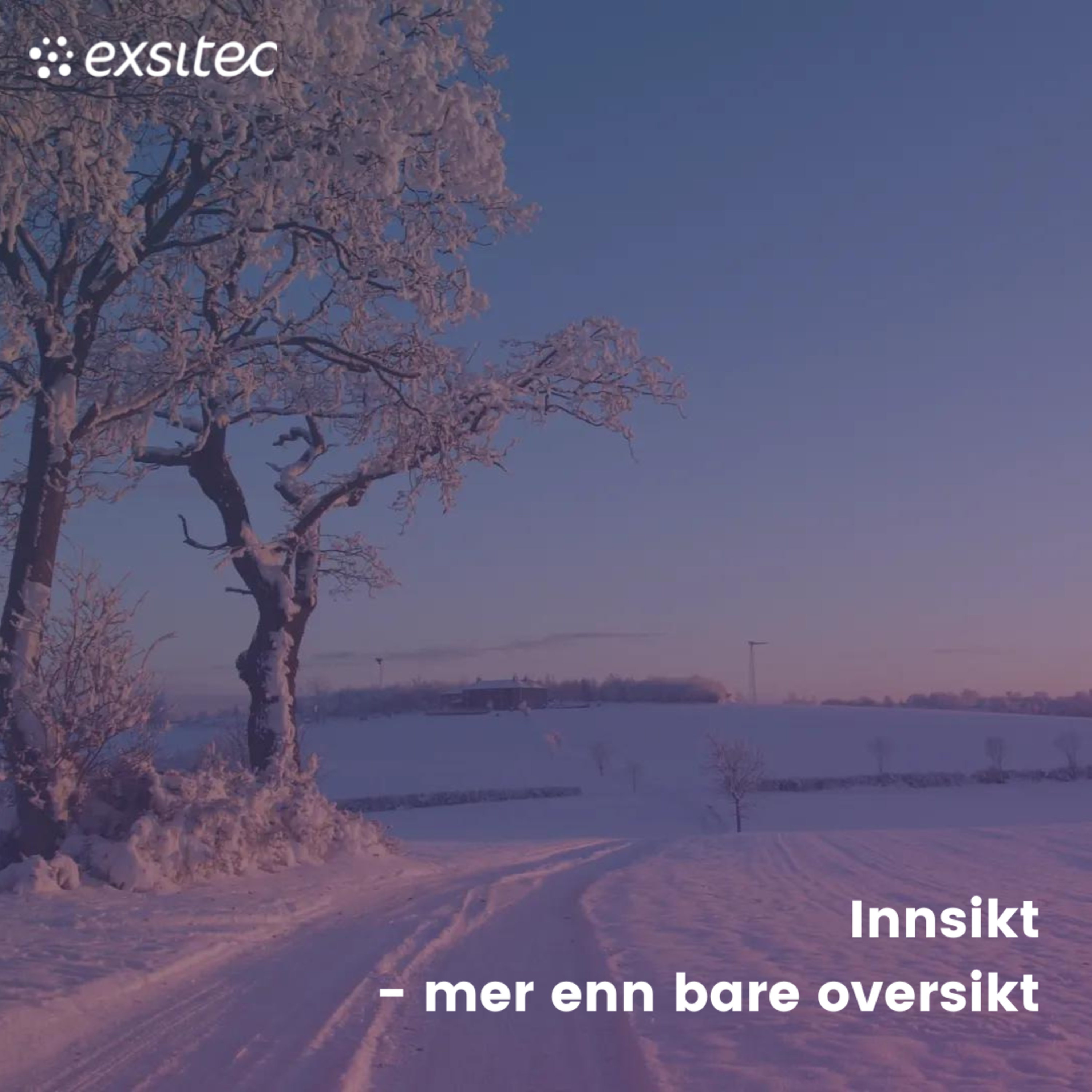Økonombloggen - lydbok edition