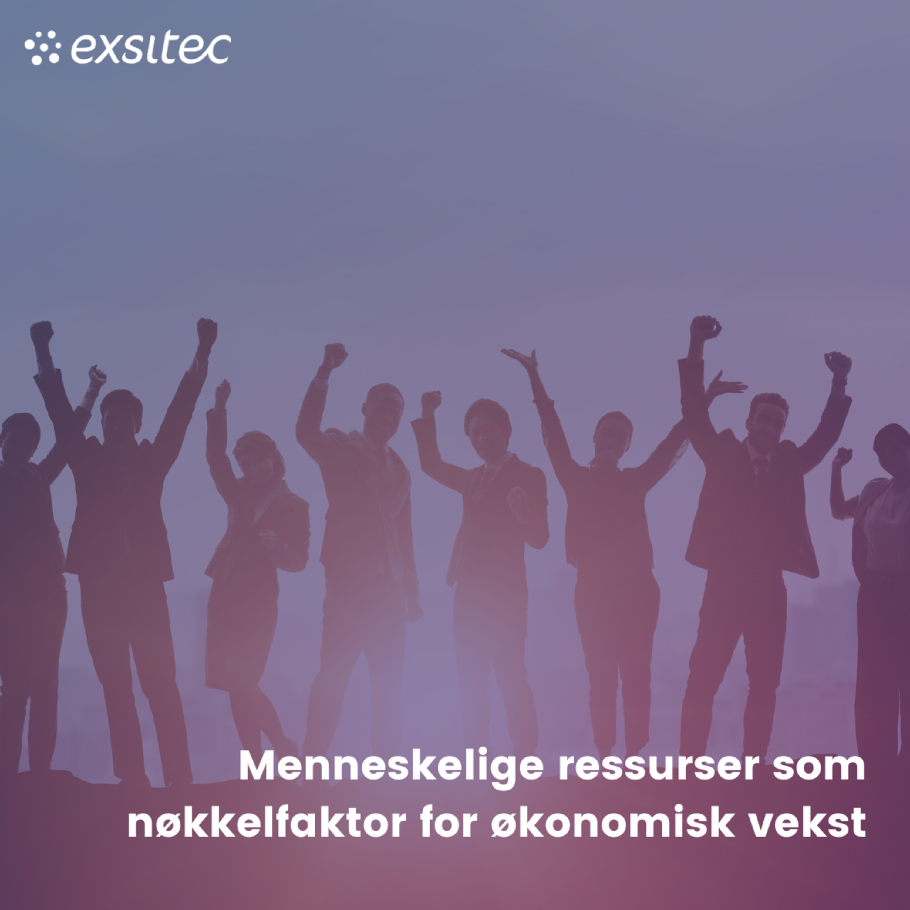 Økonombloggen - lydbok edition
