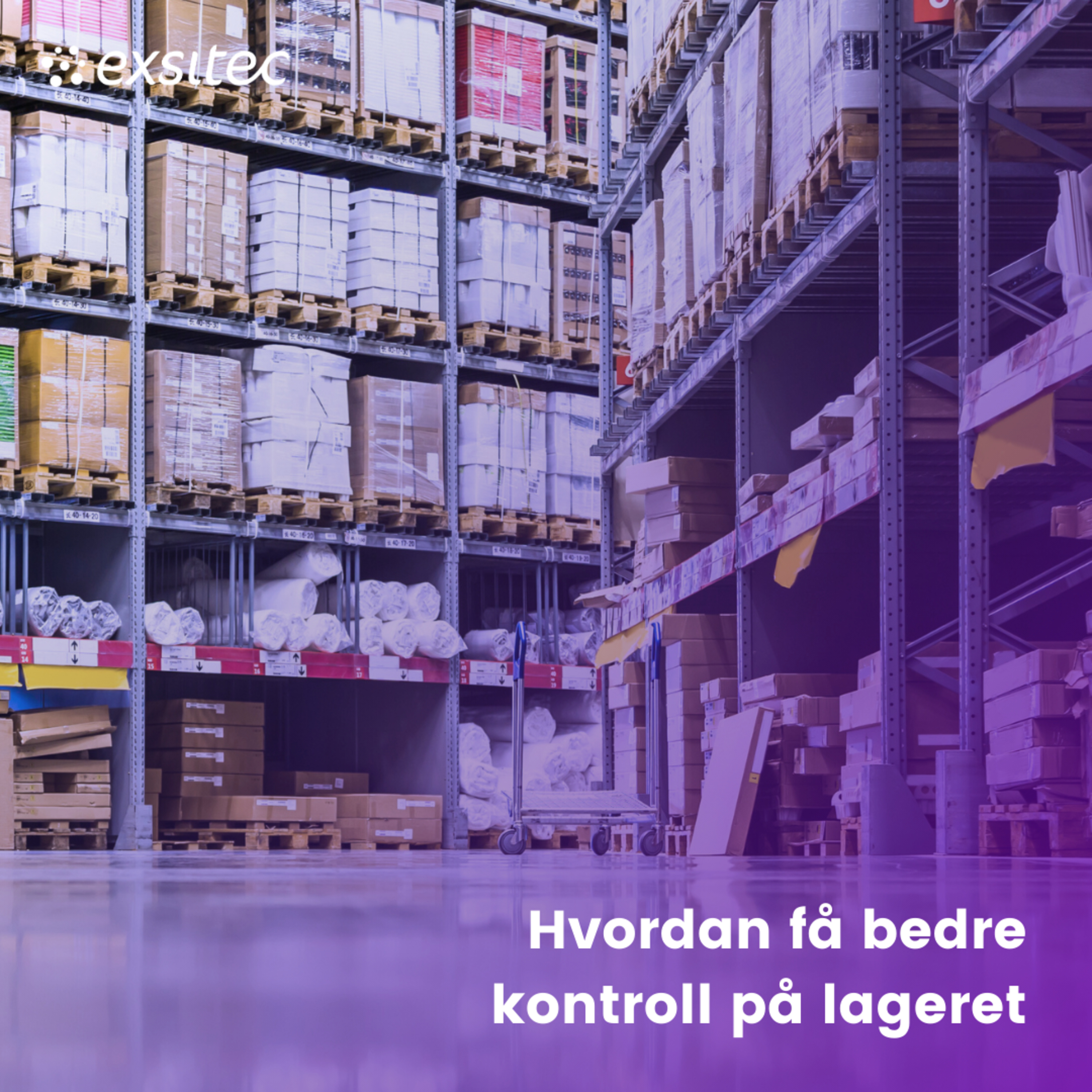 Økonombloggen - lydbok edition