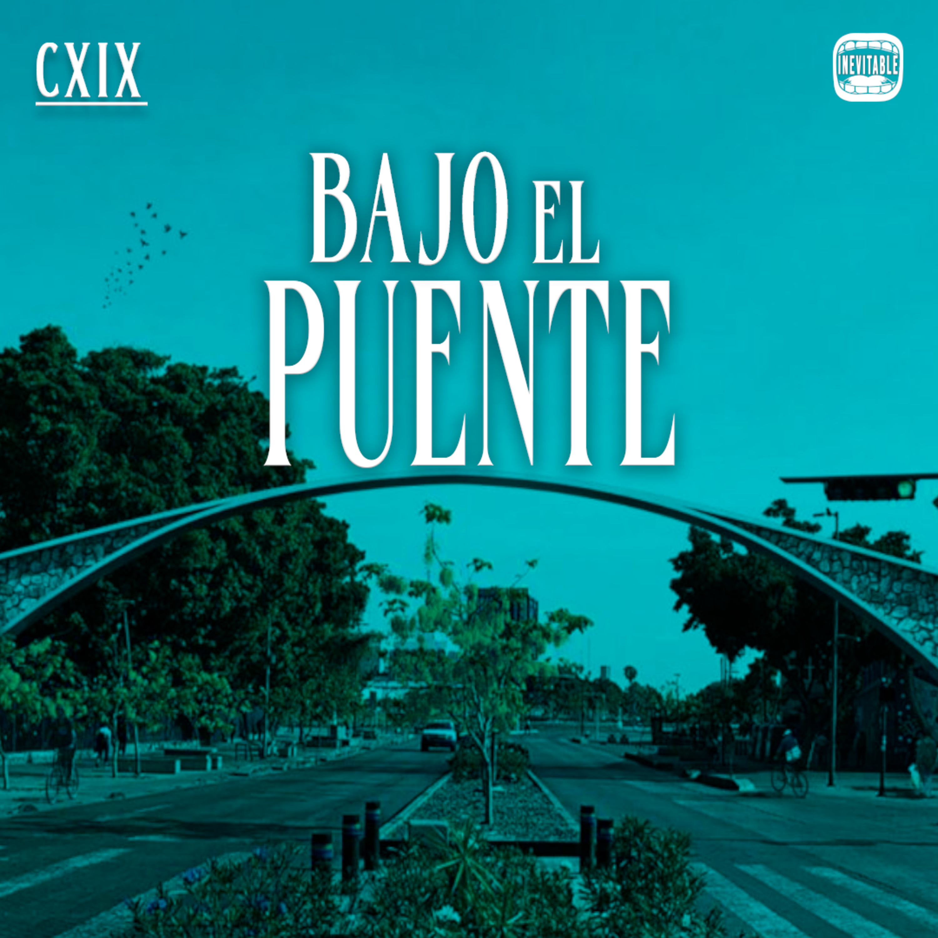 cover of episode BAJO EL PUENTE