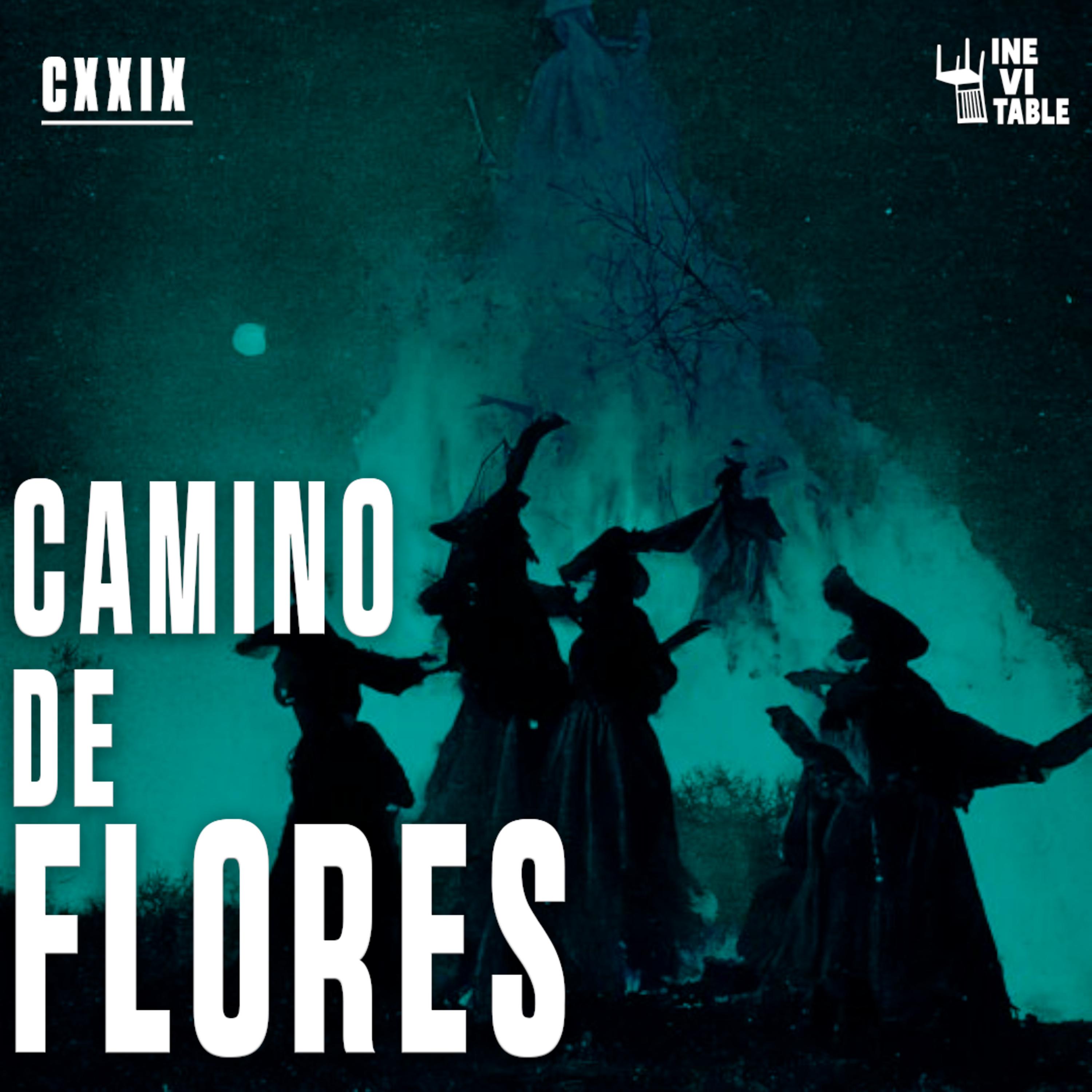 cover of episode CAMINO DE FLORES