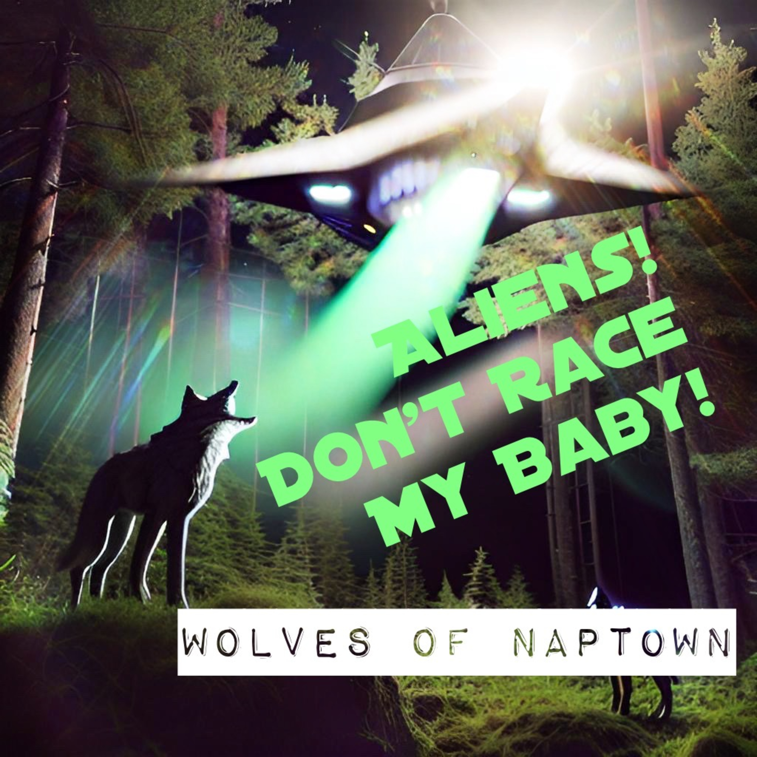 Wolves Of Naptown