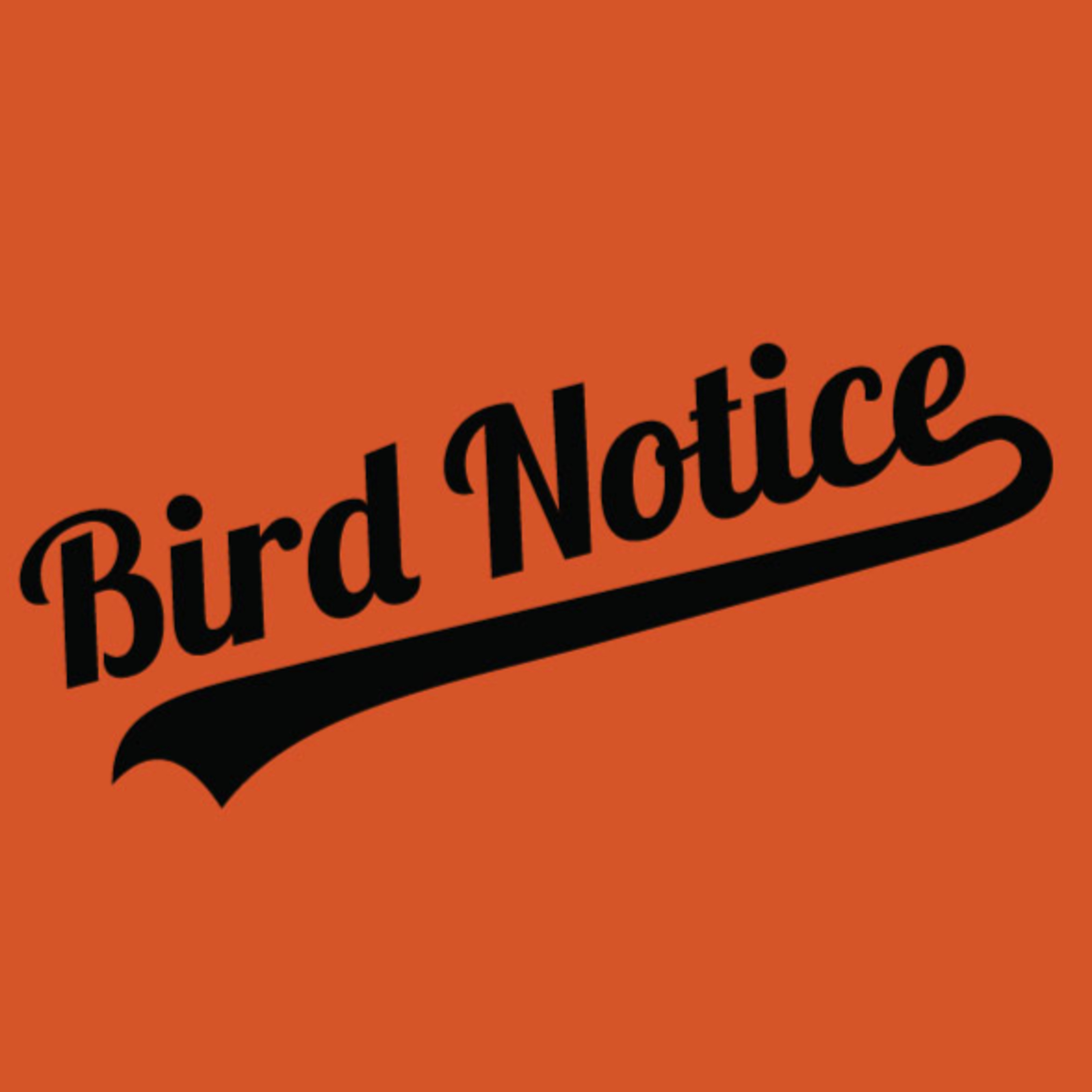 Bird Notice: A Baltimore Orioles Podcast