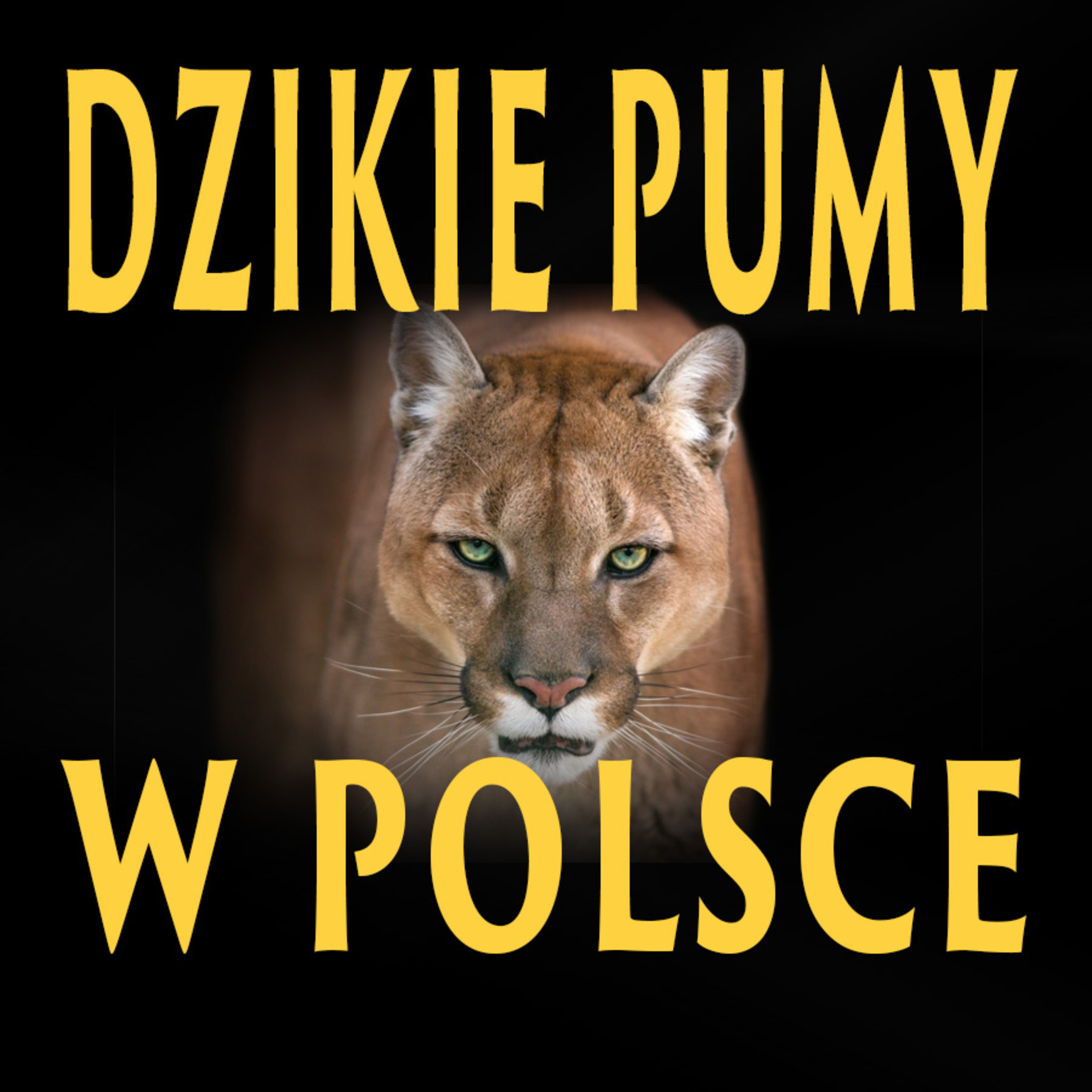 Krzyk Horror Podcast