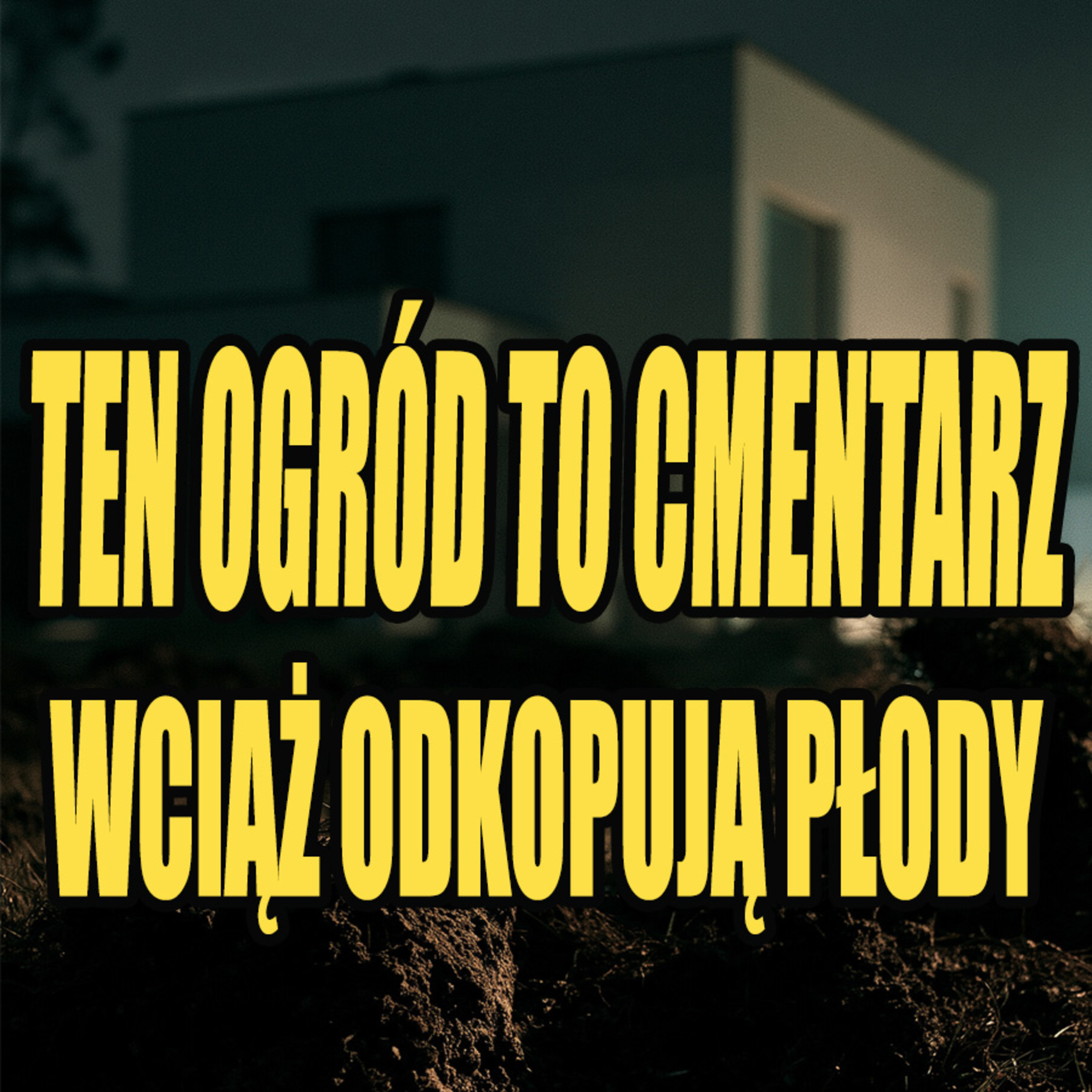Makabra w Lutoryżu. Dlaczego płody zakopano w ogródku? episode artwork