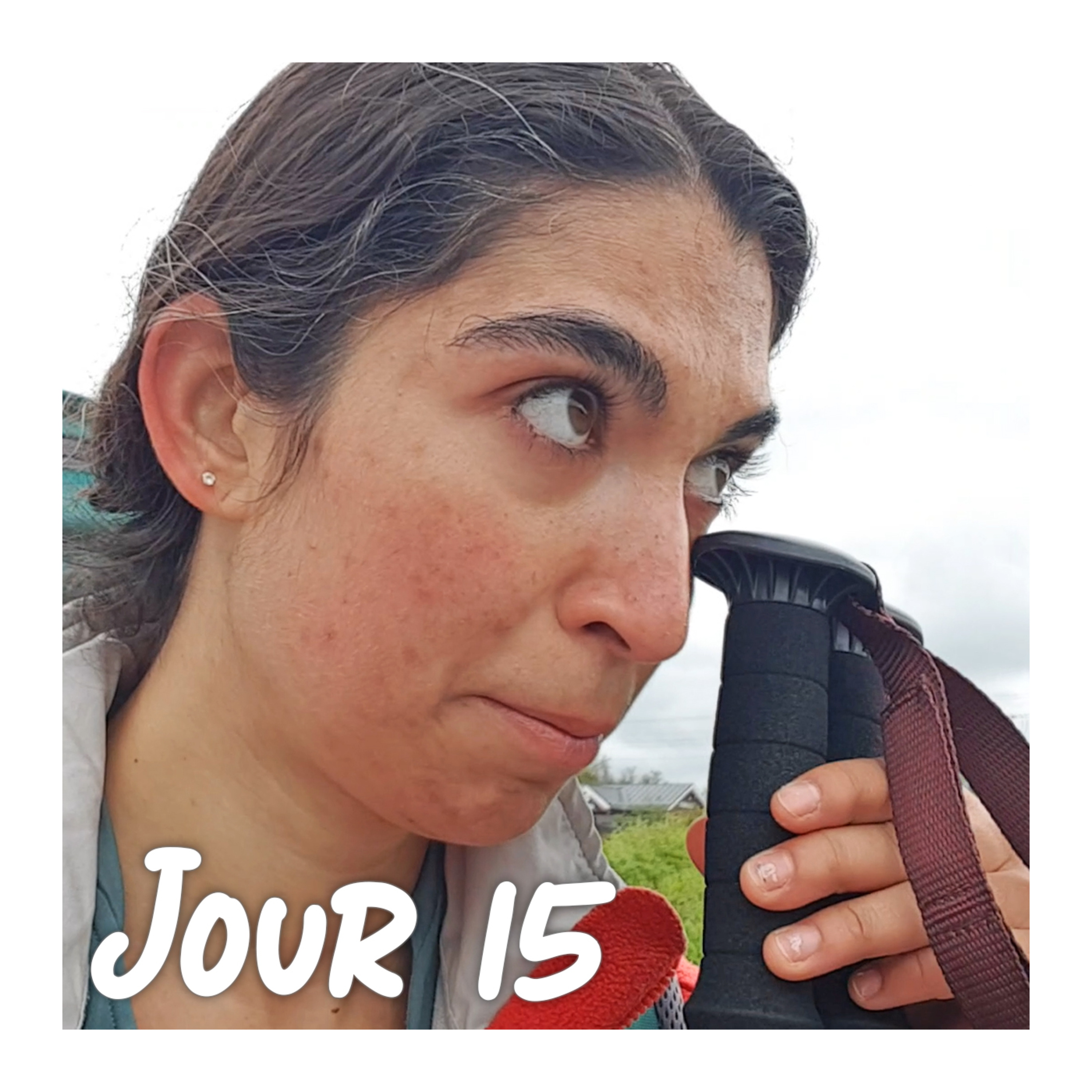 Carnet de Suède