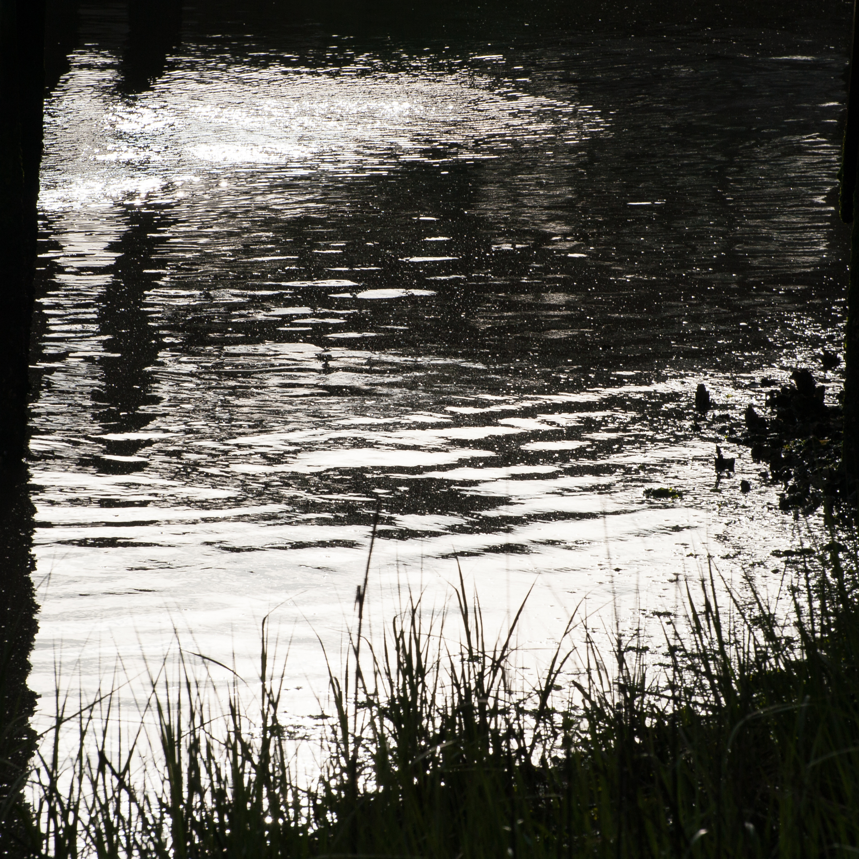 Mediumship Diaries.