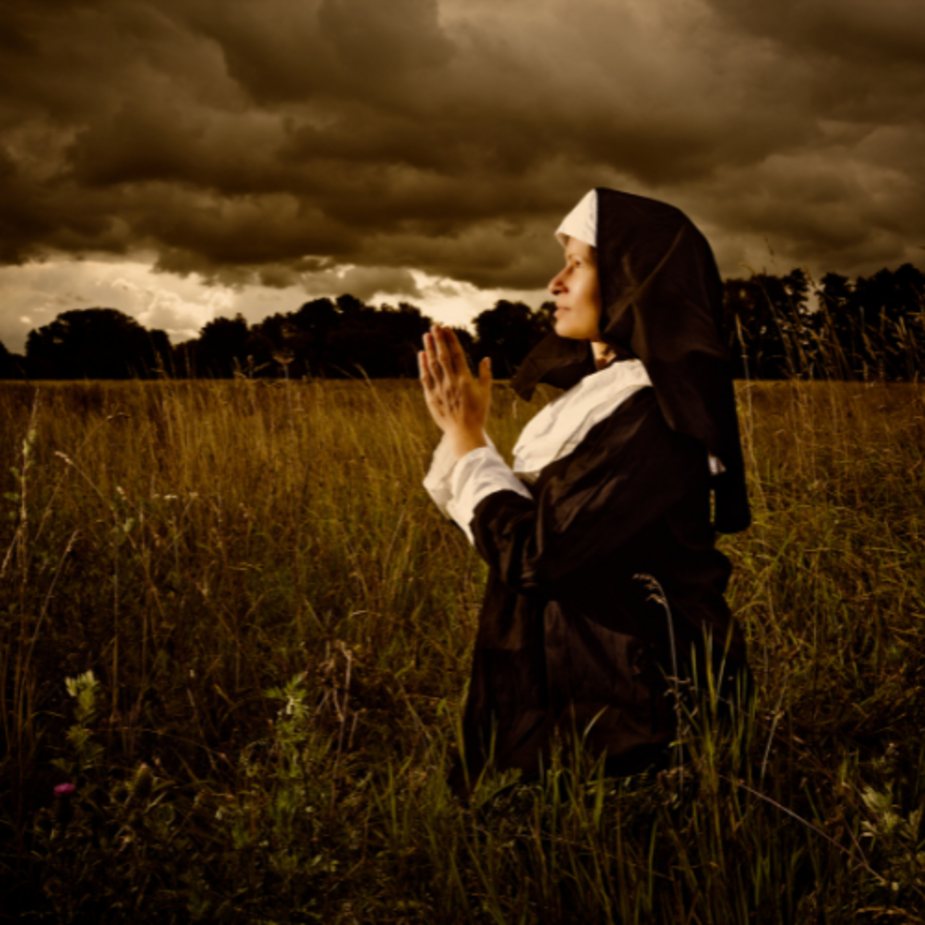 Mediumship Diaries.