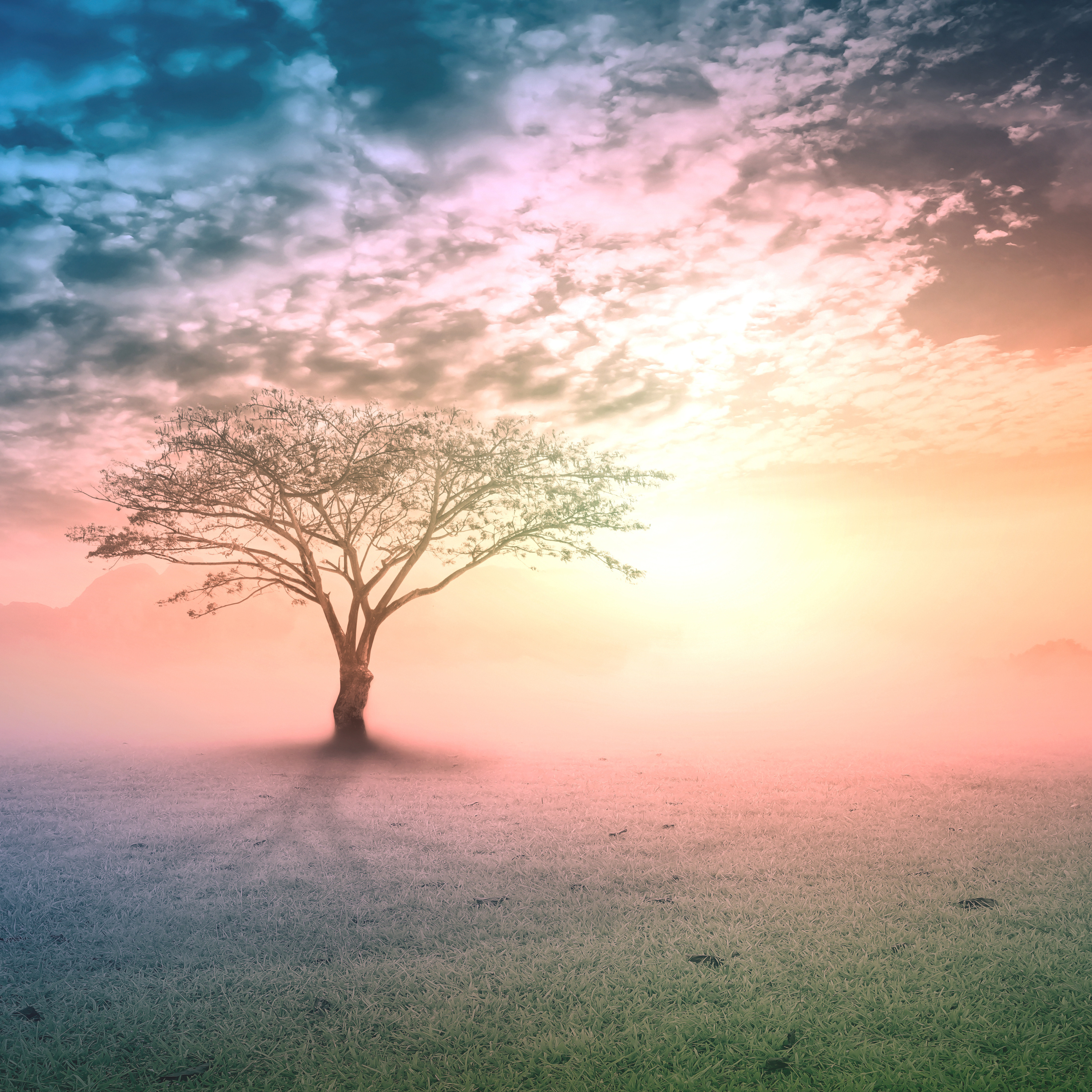 Mediumship Diaries.