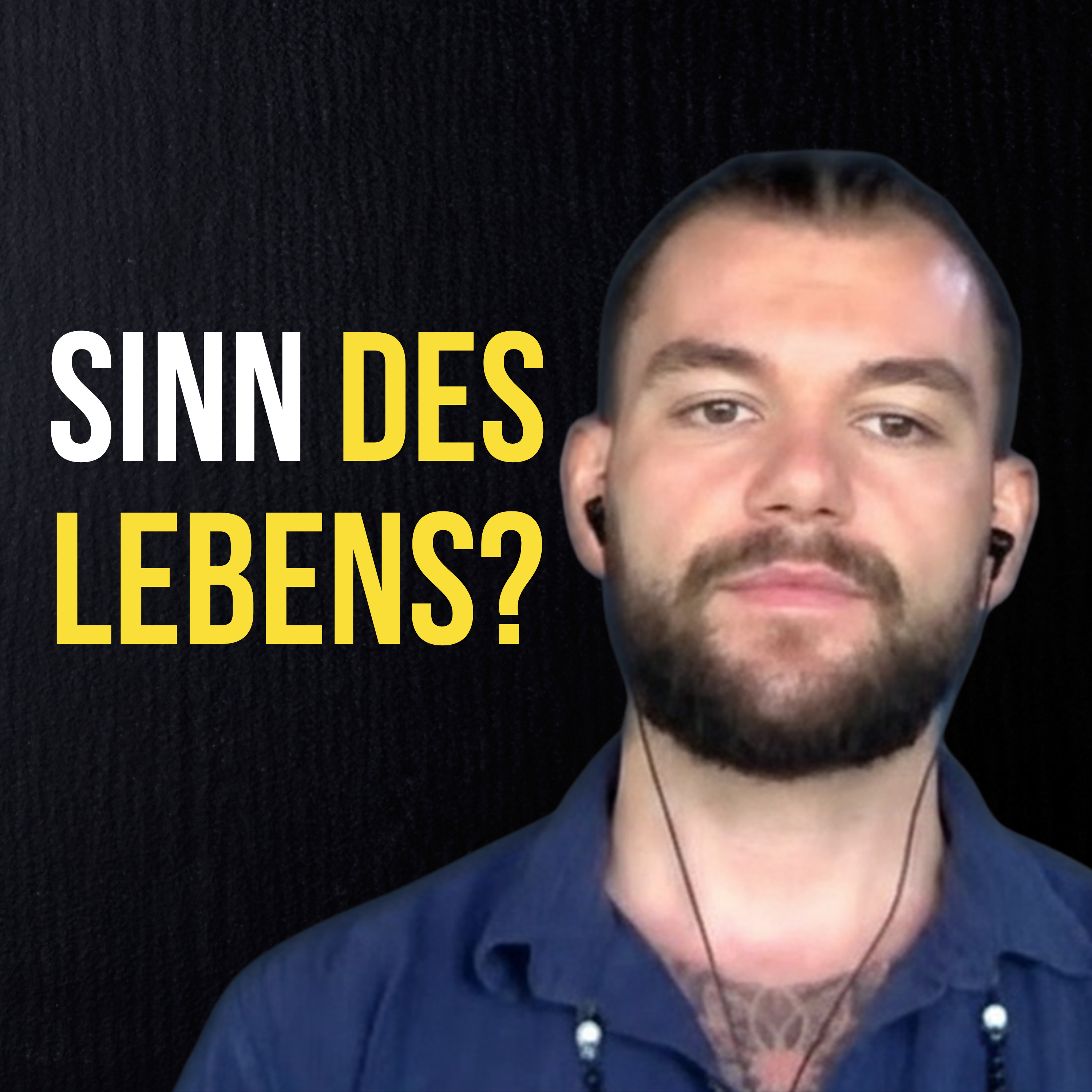 Der wahre Sinn des Lebens – und warum du ihn nicht finden musst episode artwork