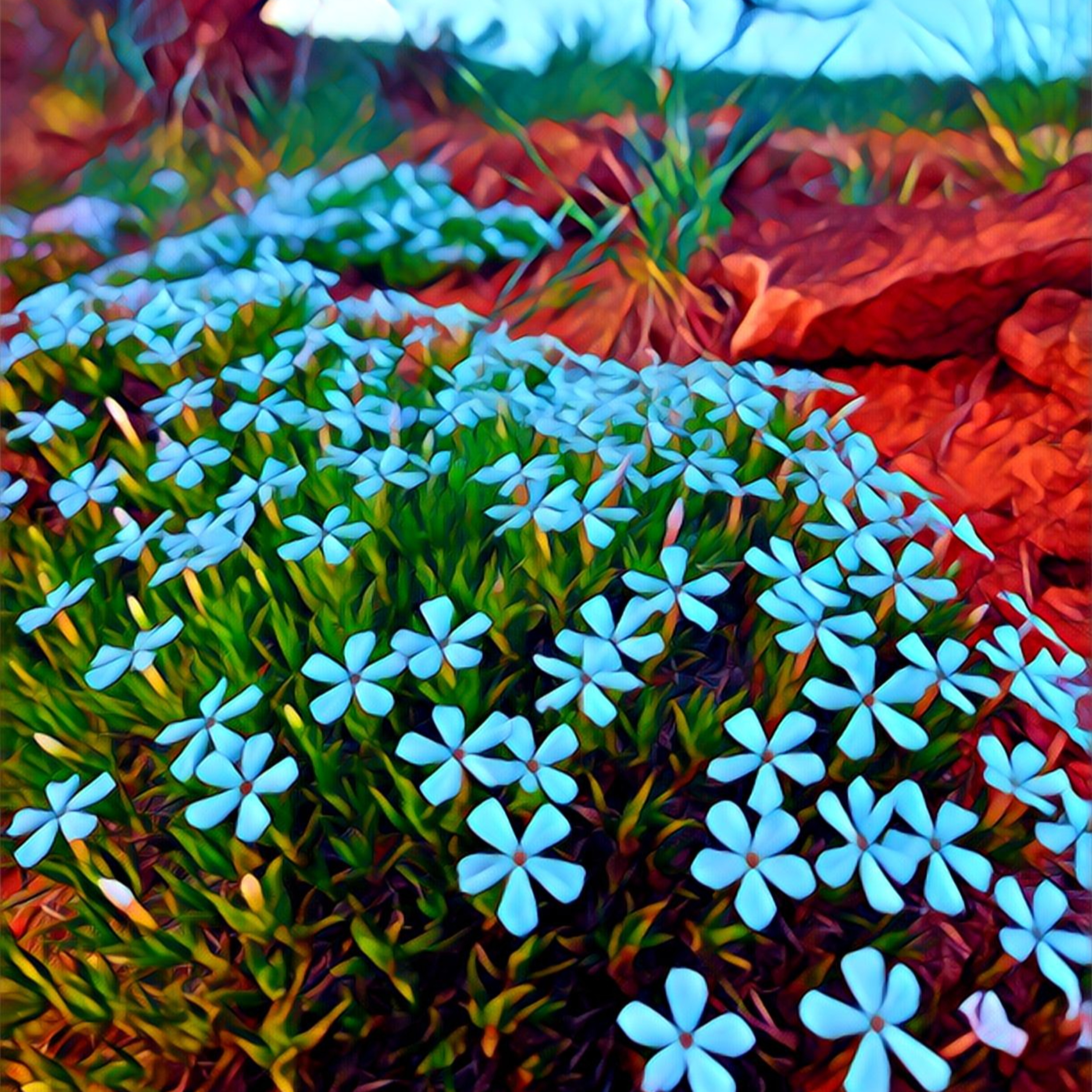 The Evergreen Wildflower: Exploring Nature Poetry