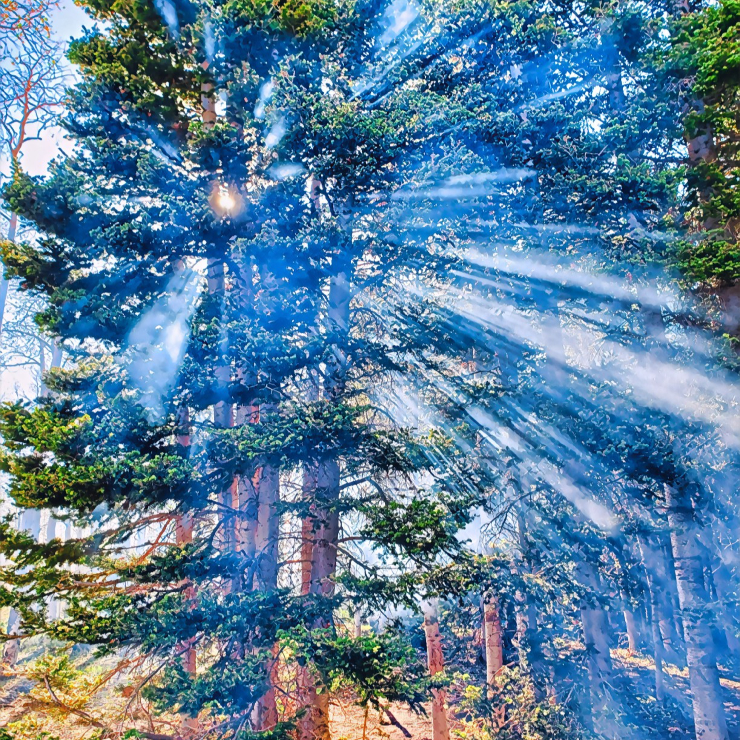The Evergreen Wildflower: Exploring Nature Poetry