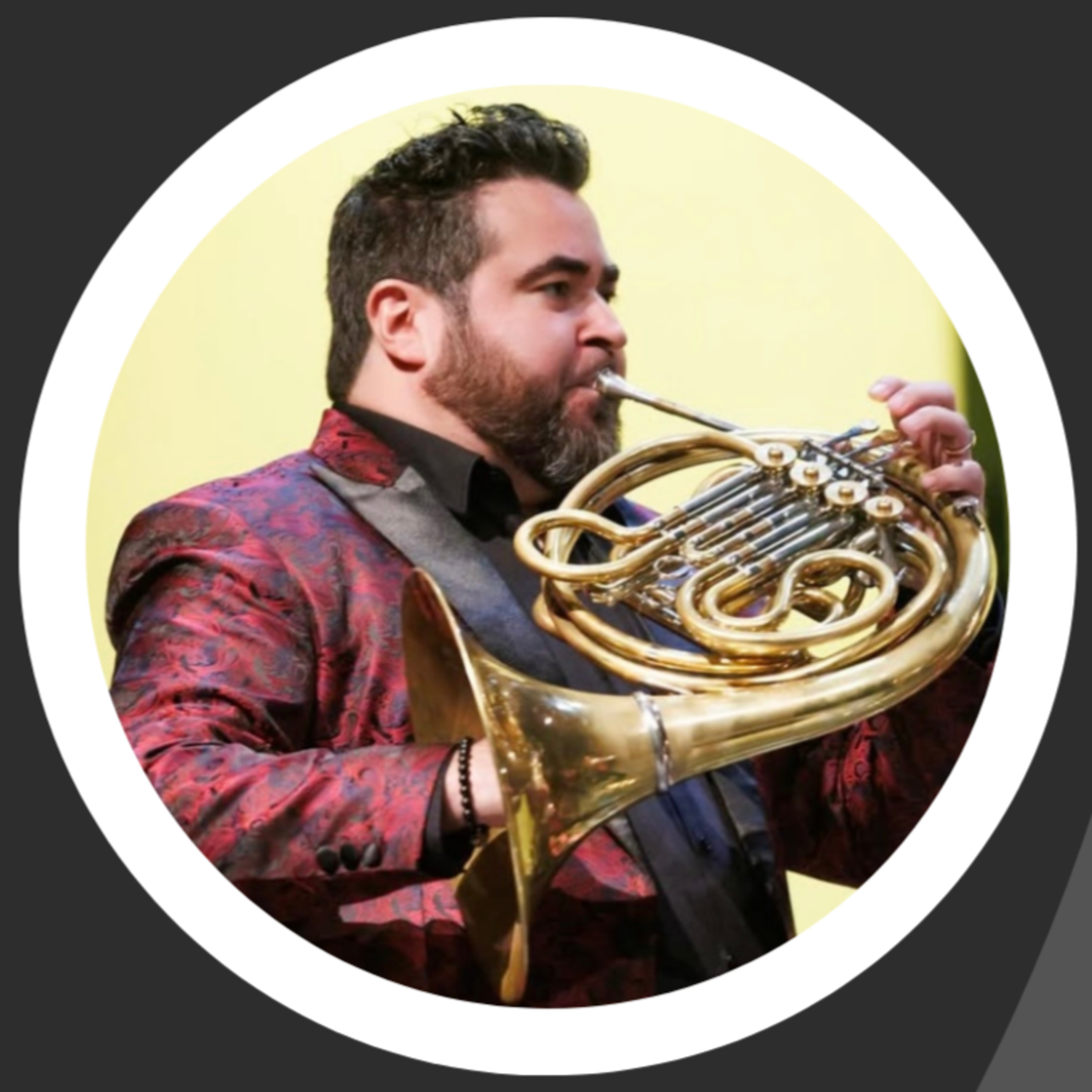 The Holistic Horn - A New Paradigm of Brass Playing & Musical Mastery