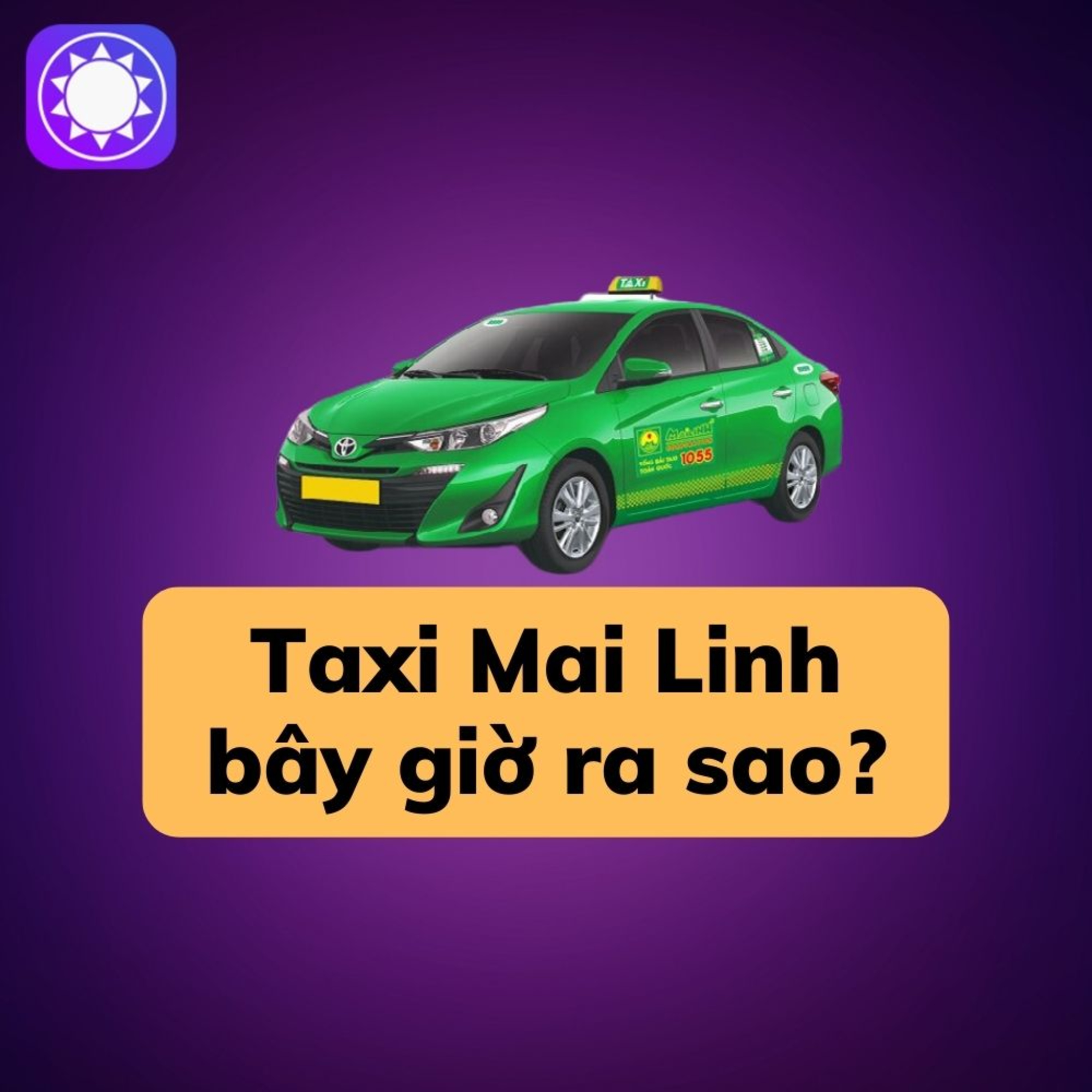 Taxi Mai Linh bây giờ ra sao?