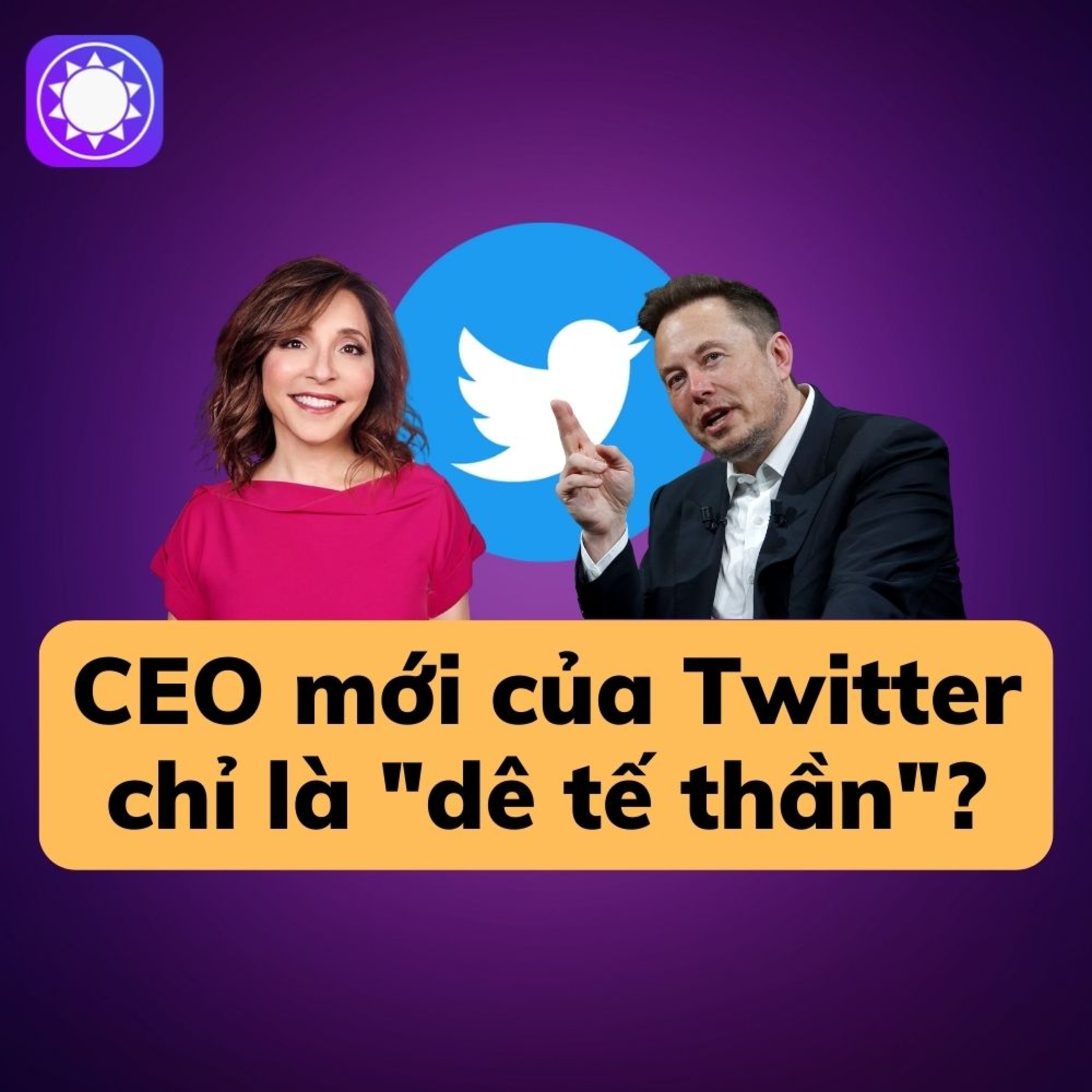 CEO mới của Twitter chỉ là "dê tế thần"?