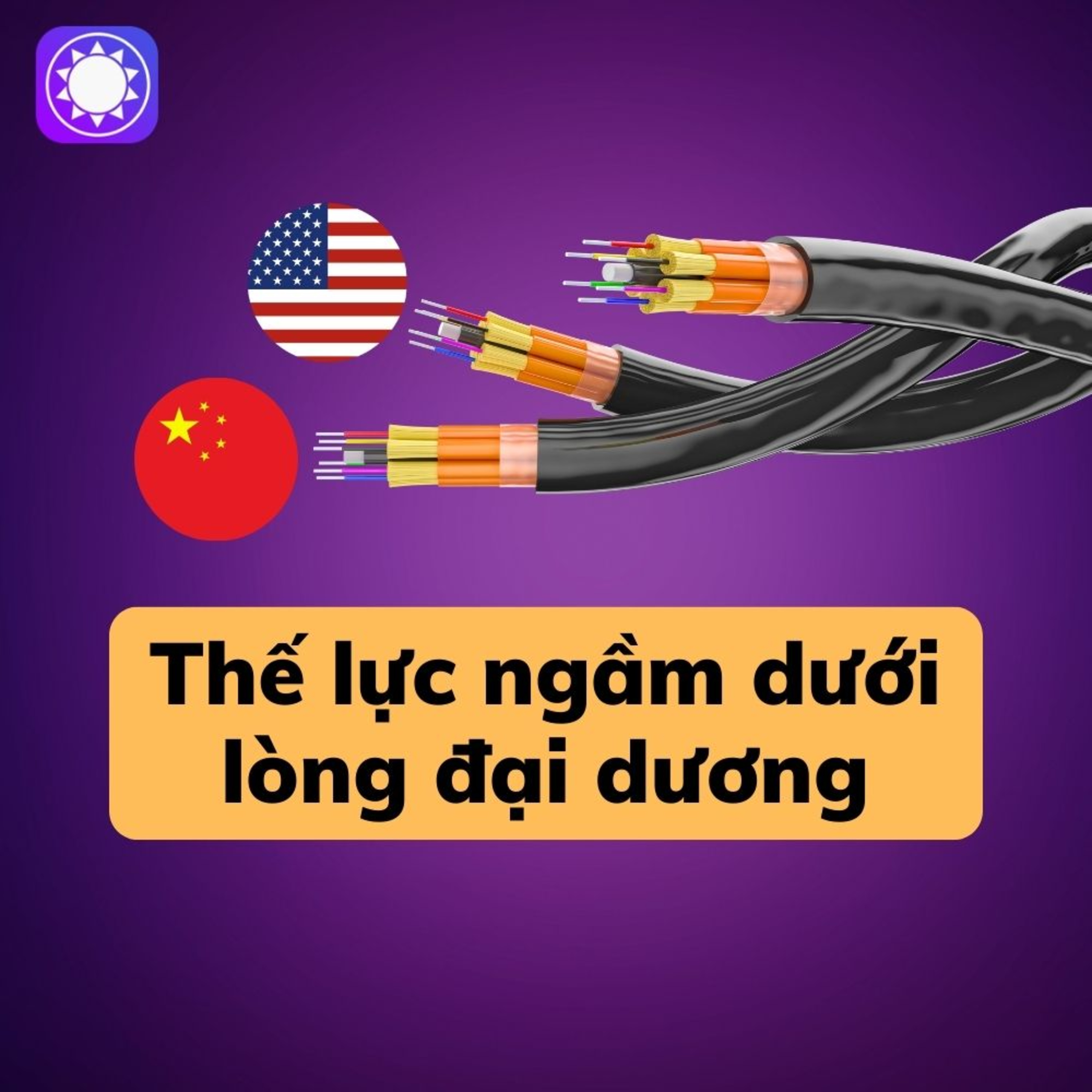 Cáp quang biển - Thế lực ngầm dưới lòng đại dương episode artwork