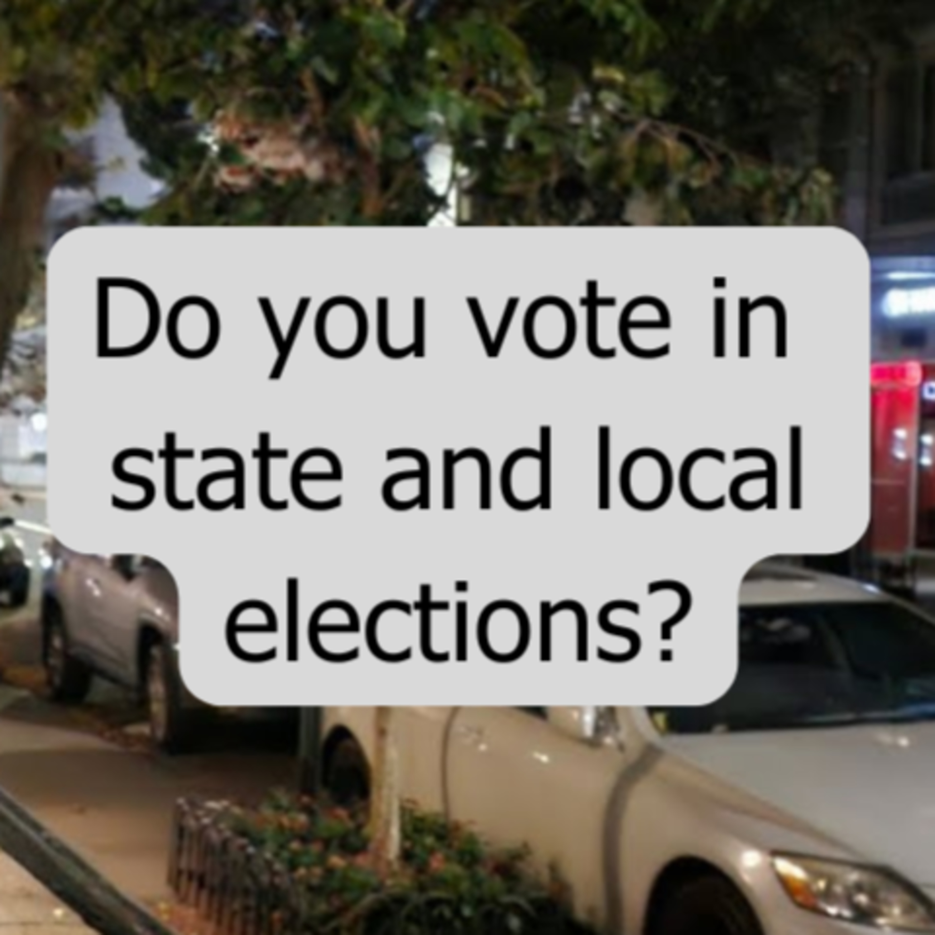 Do you vote in state and local elections? episode artwork