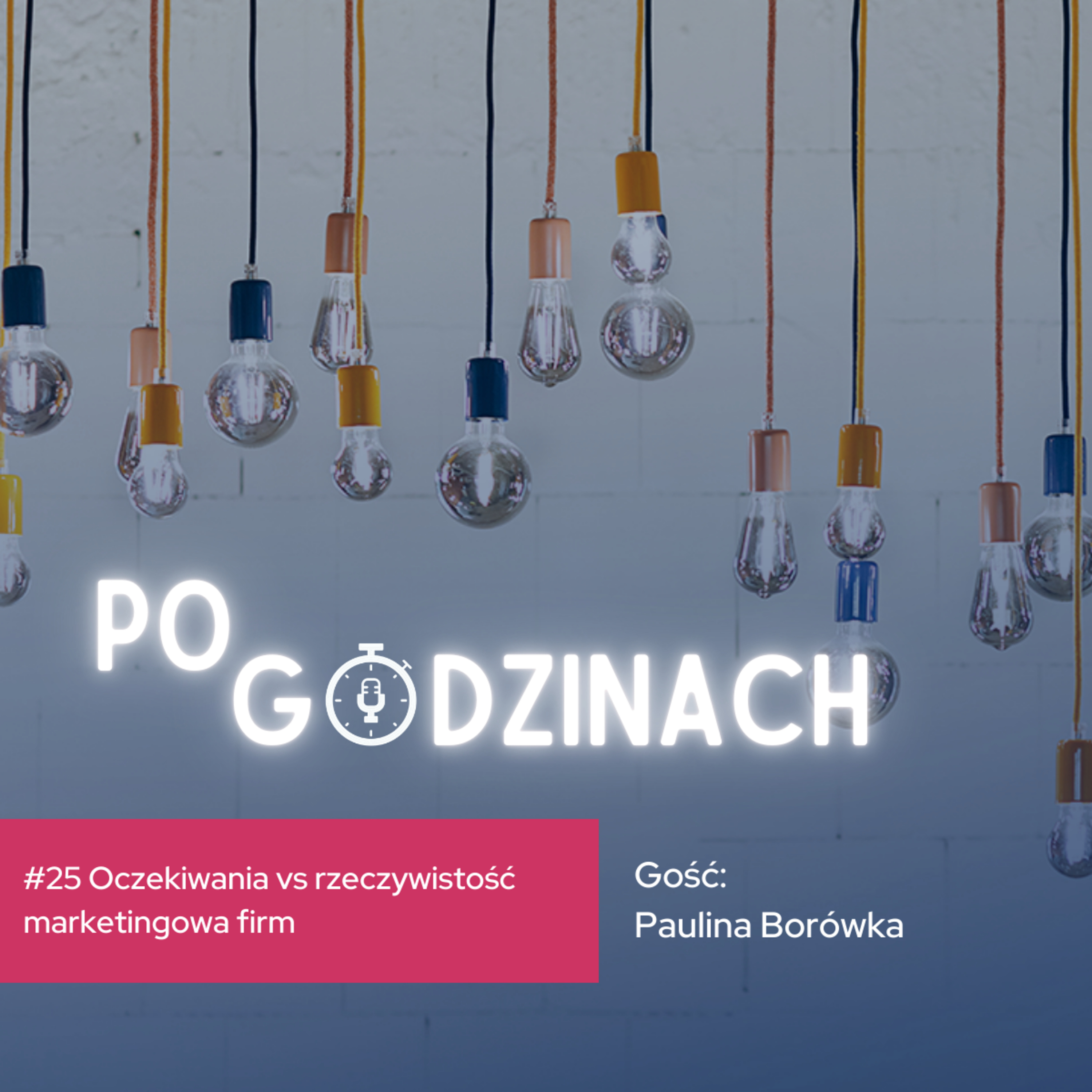 #25 Oczekiwania vs rzeczywistość marketingowa firm. Paulina Borówka episode artwork