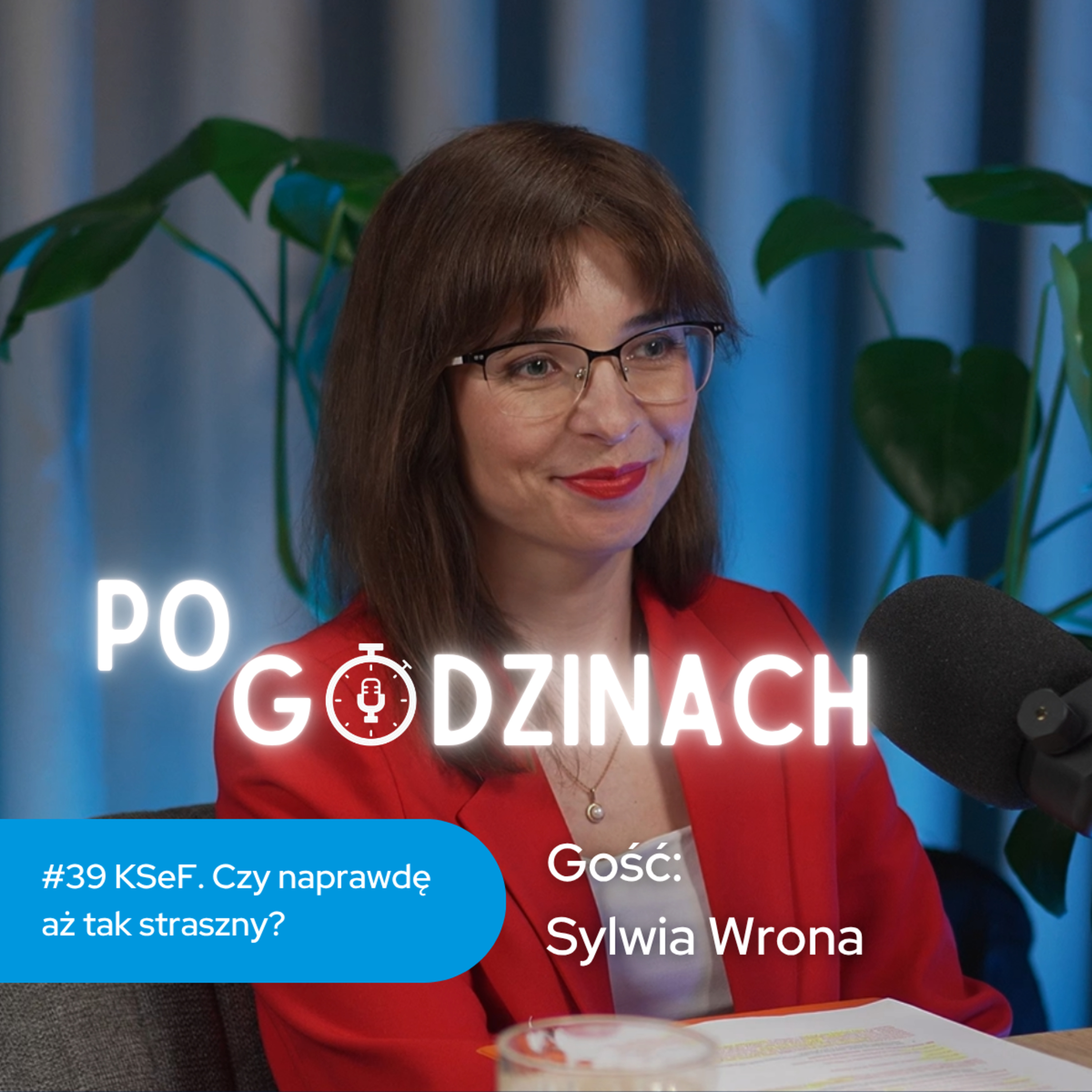  #39 KSeF. Czy naprawdę aż tak straszny? Sylwia Wrona episode artwork