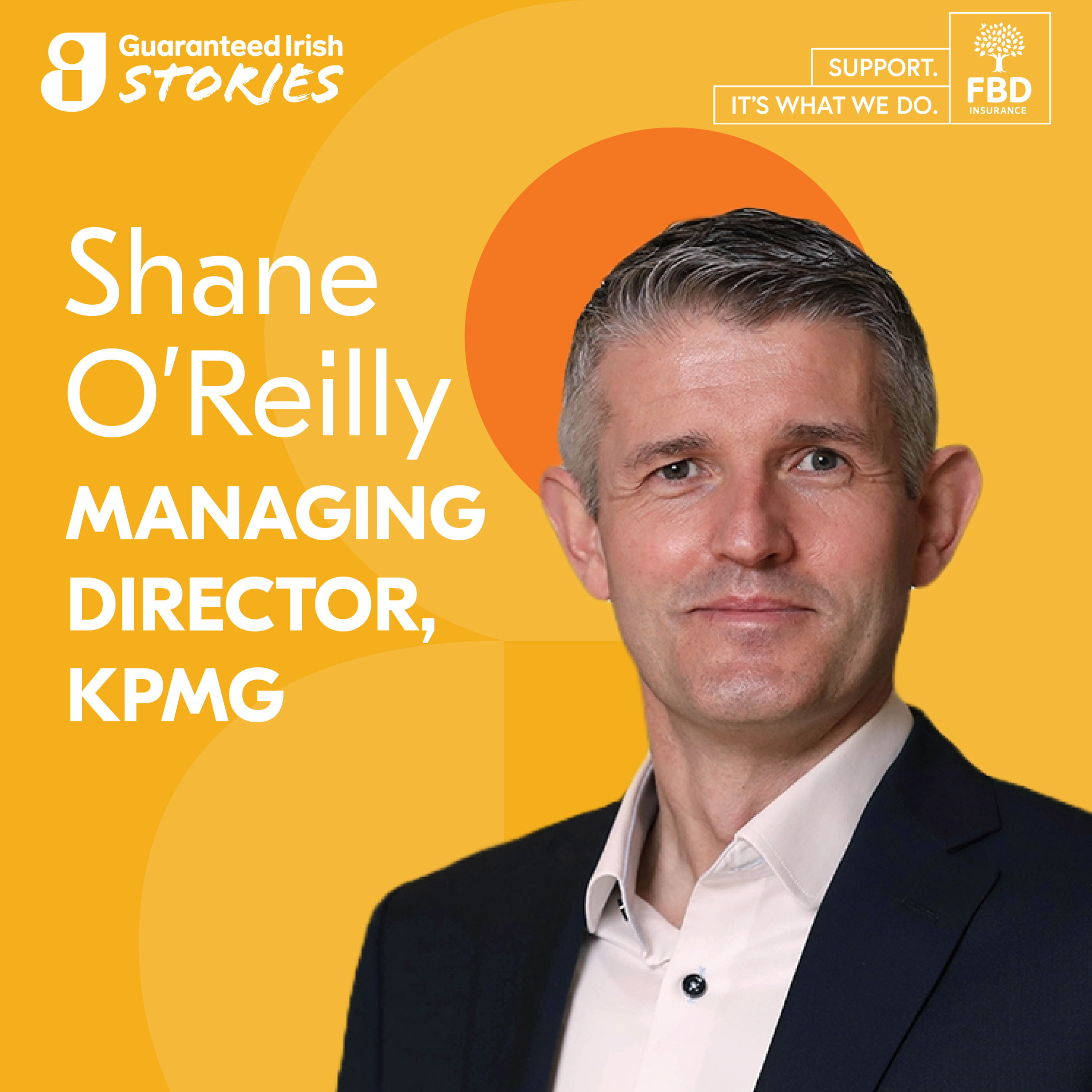 Guaranteed Irish Stories