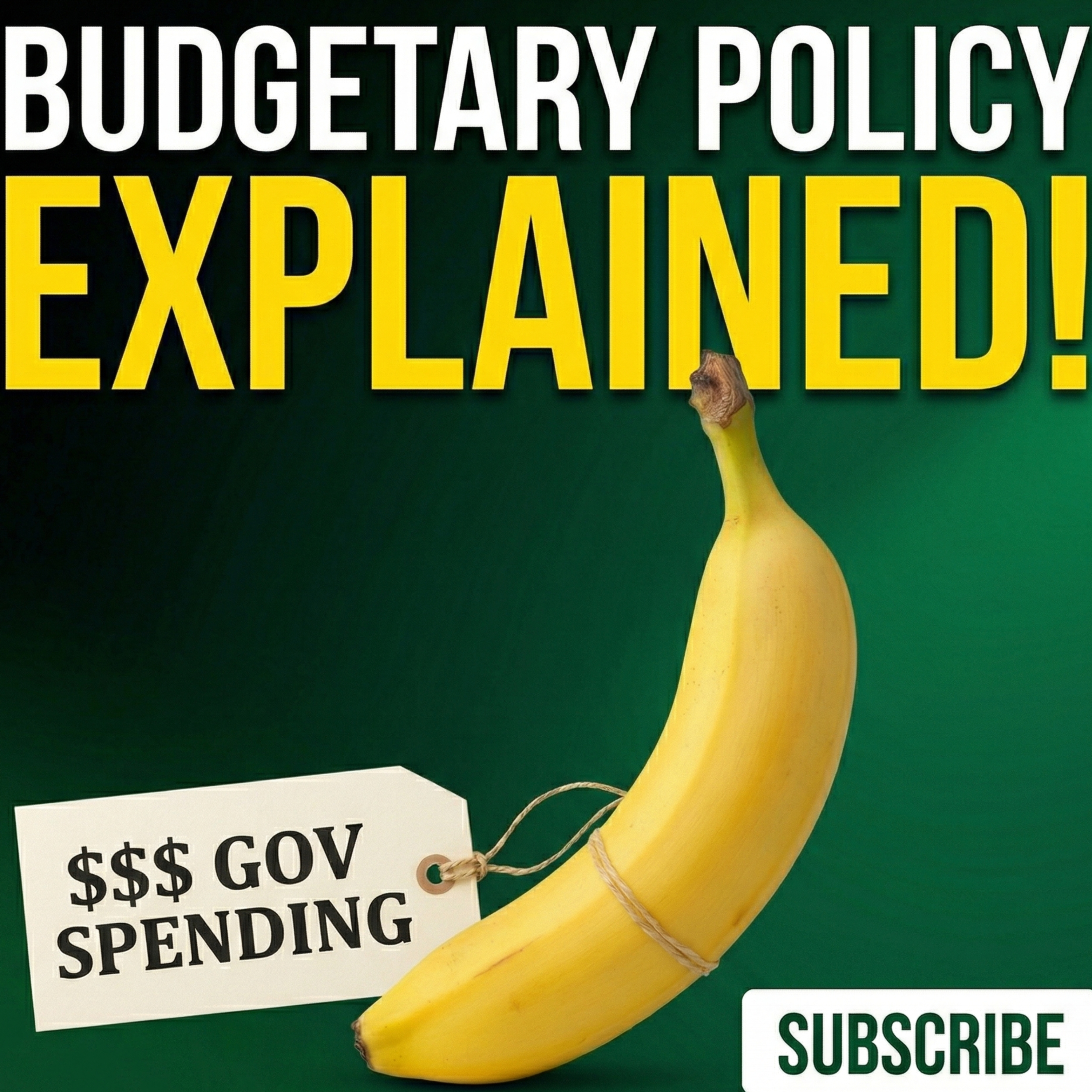 Ai 113/ Budgetary Policy: The Master Plan Behind Your Wallet episode artwork