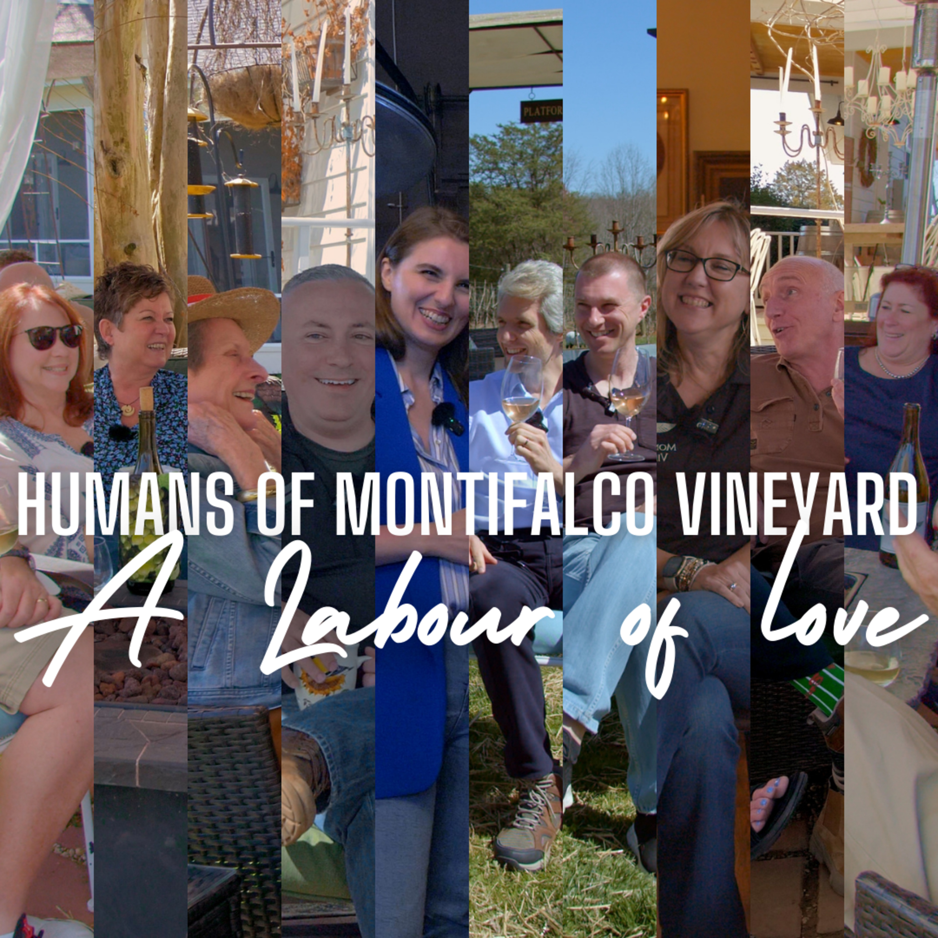 Humans of Montifalco Vineyard, A Labour of love episode artwork