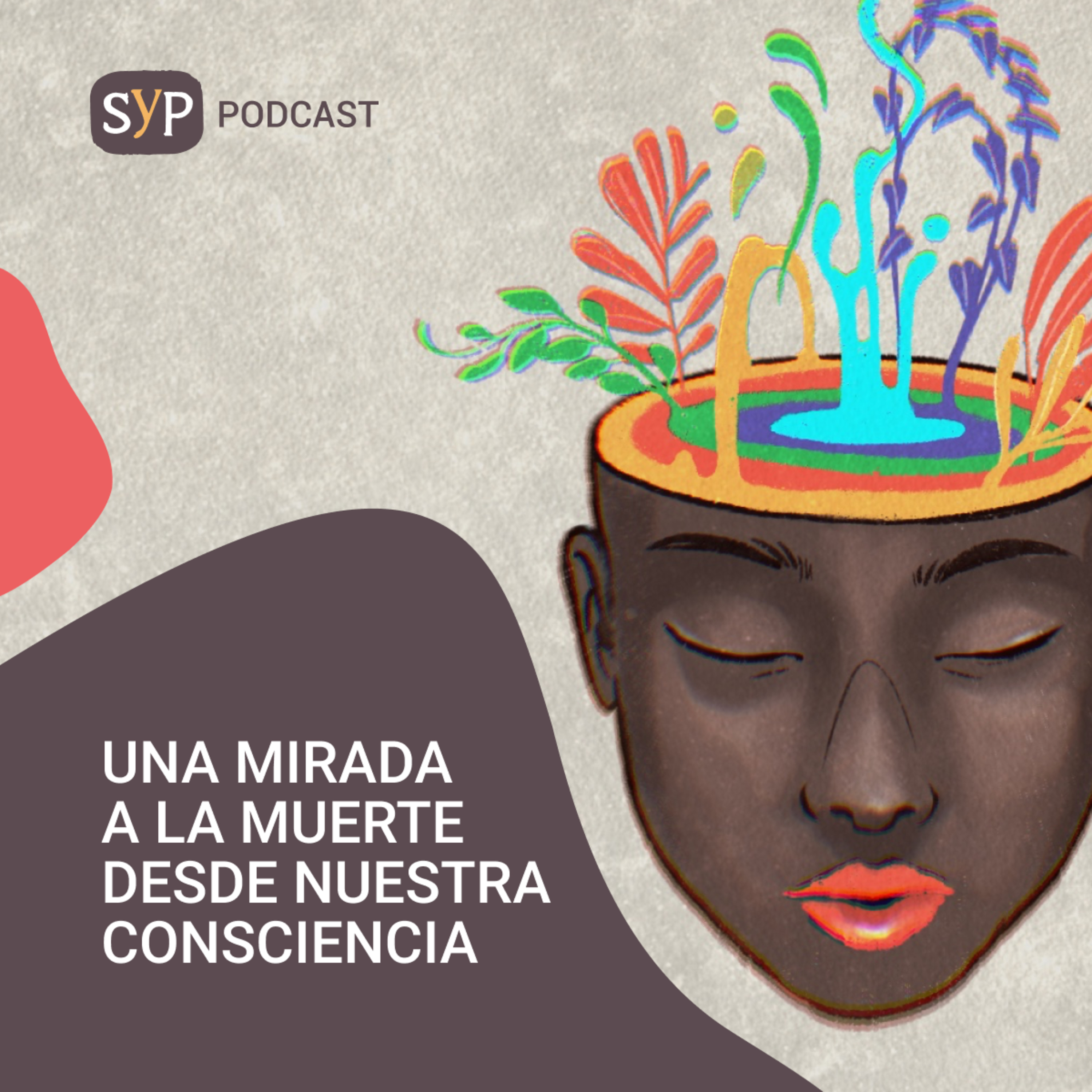 Ser y Parecer