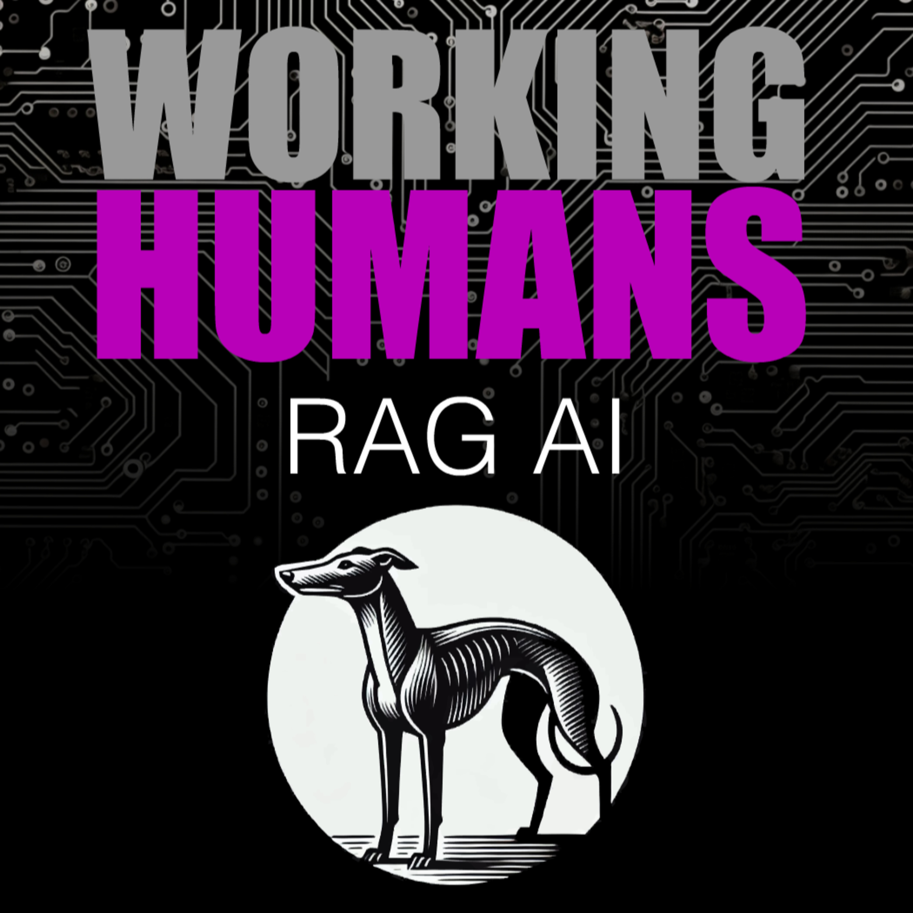 cover of episode RAG AI