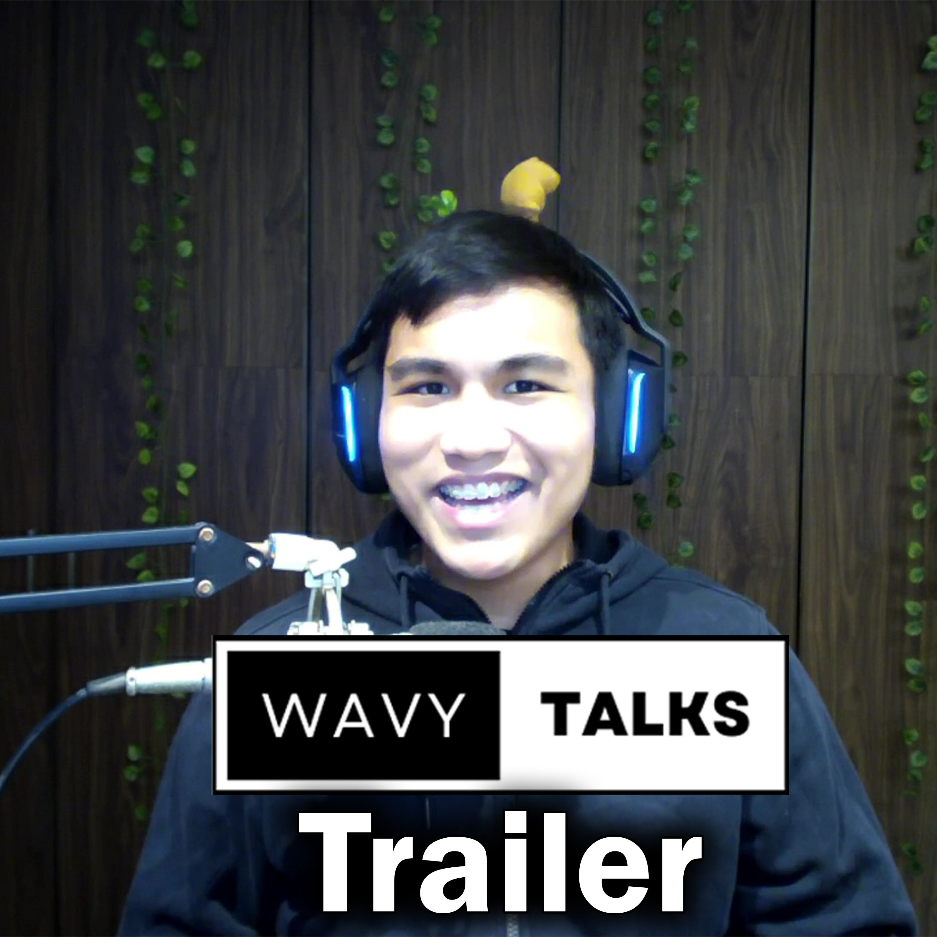 WavyTalks