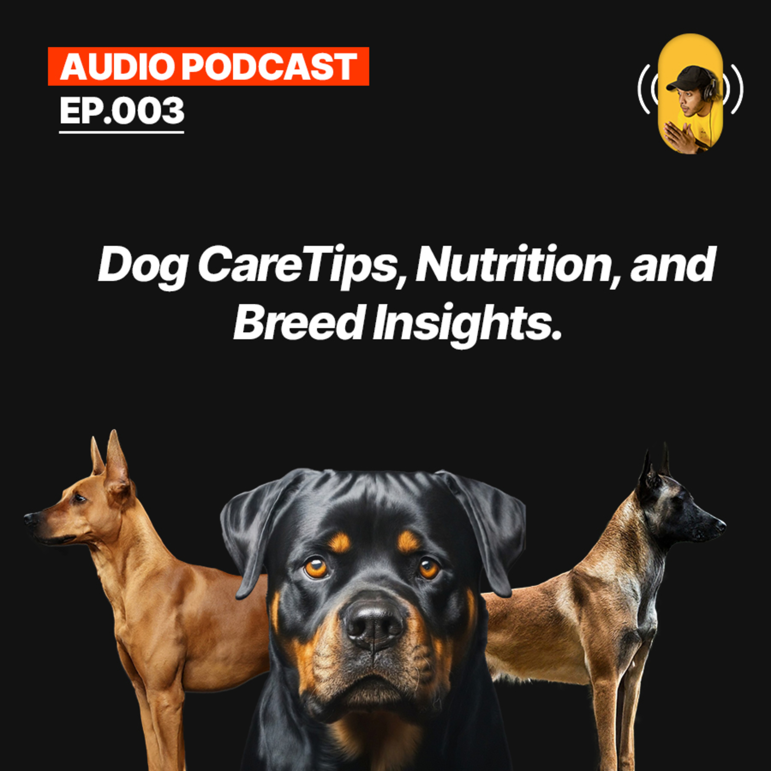 Shashvin\'s Podcast
