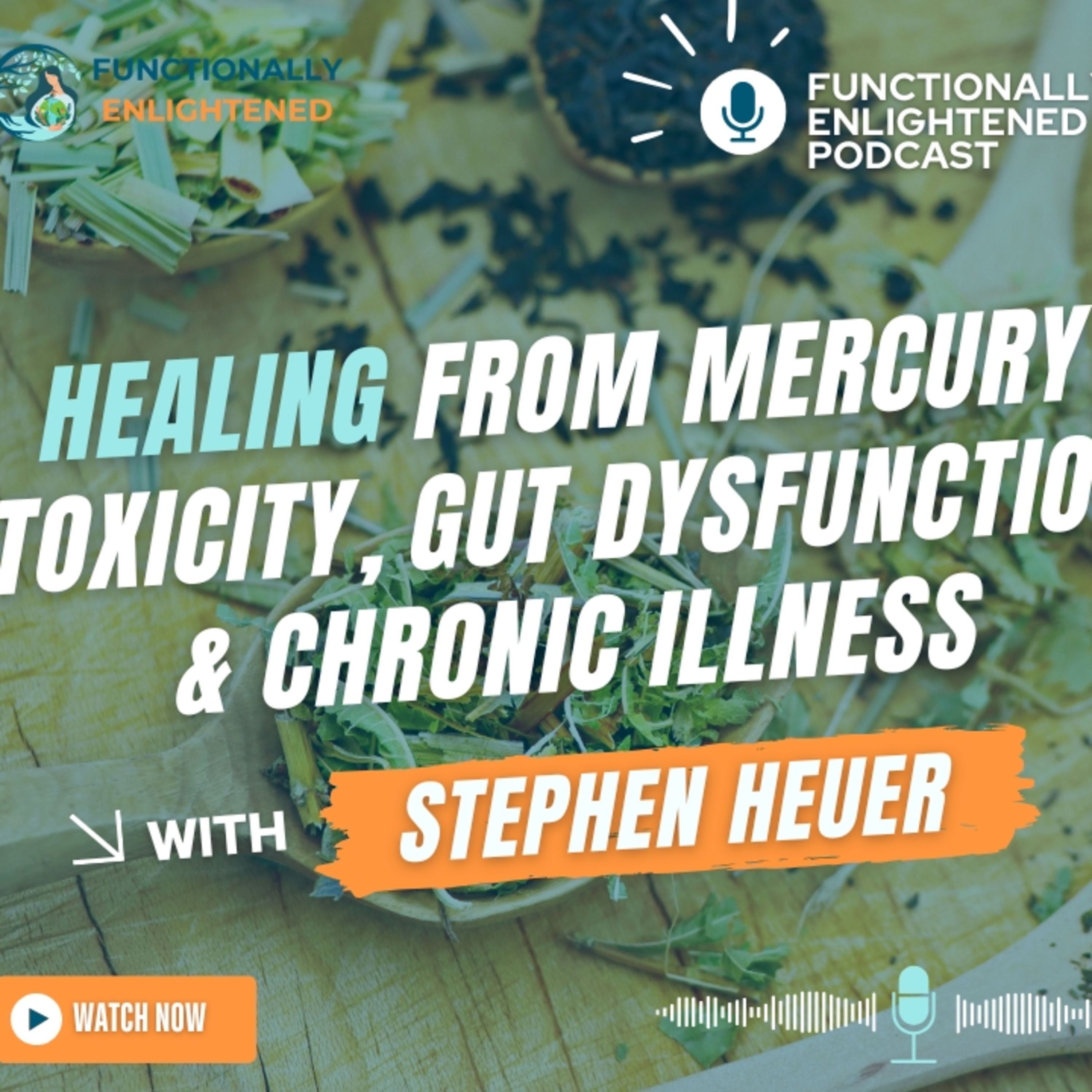 Eps 73. Healing from Mercury Toxicity, Gut Dysfunction & Chronic Illness | Stephen Heuer episode artwork