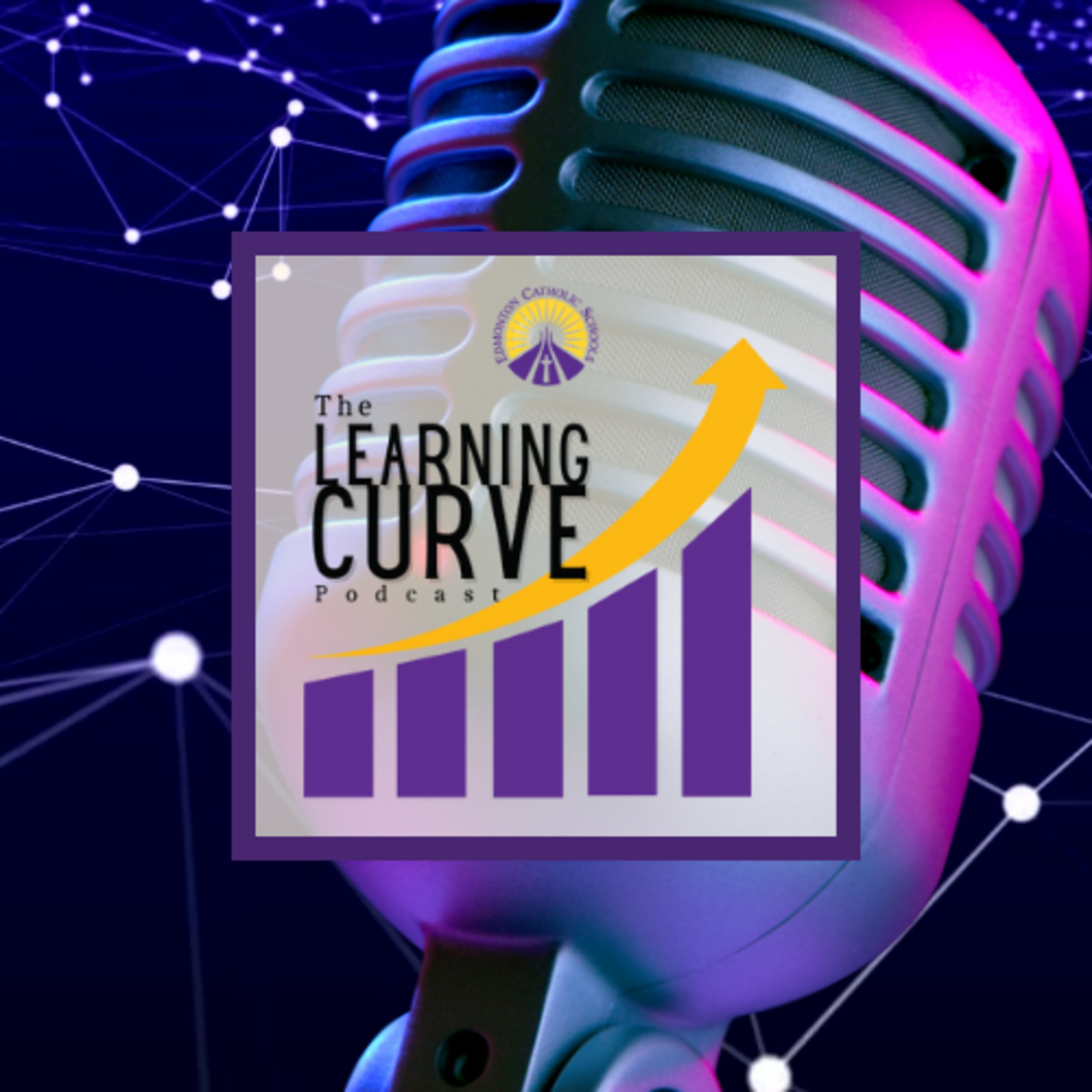 The Learning Curve ECSD
