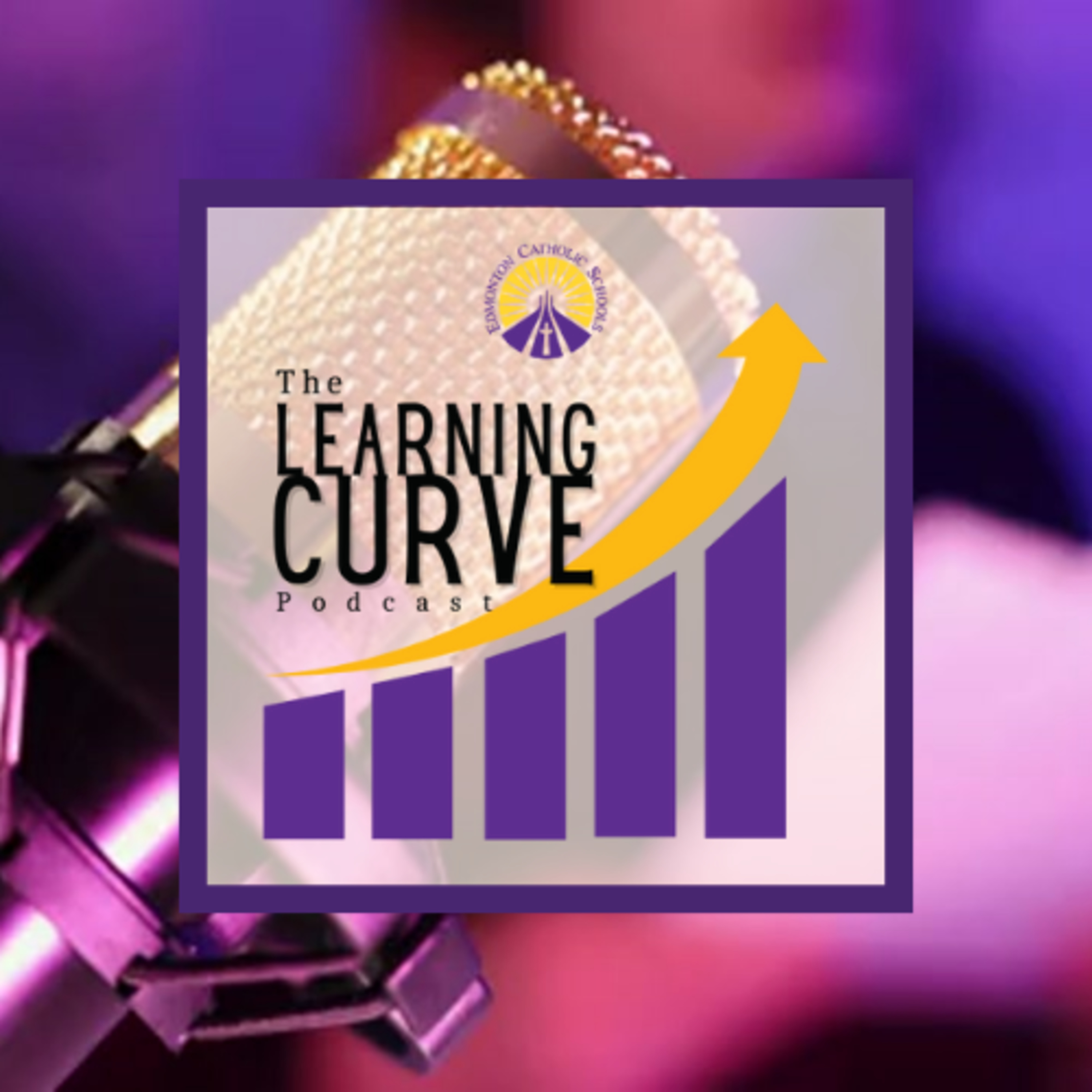 The Learning Curve ECSD