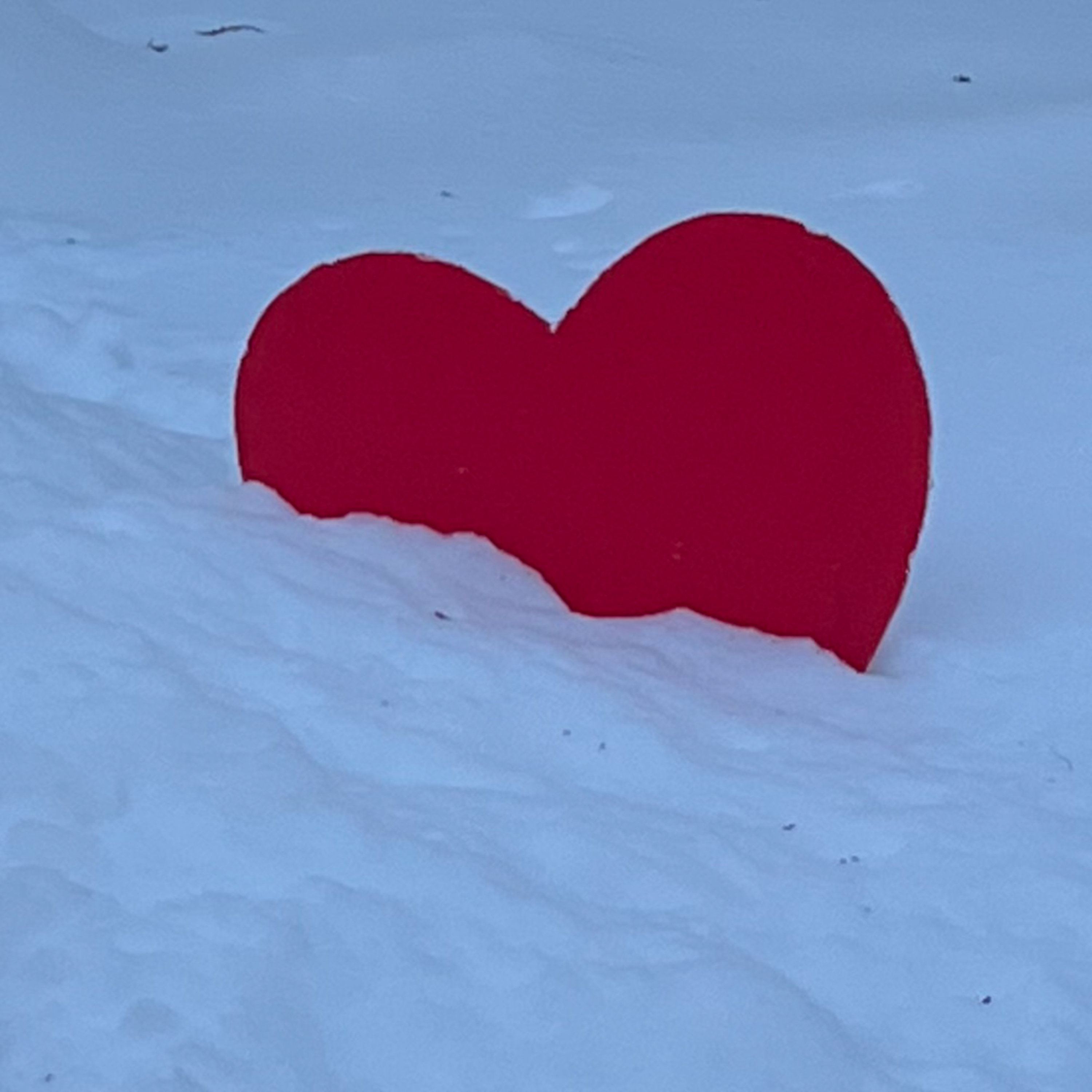 What Is Going On, Anyway?