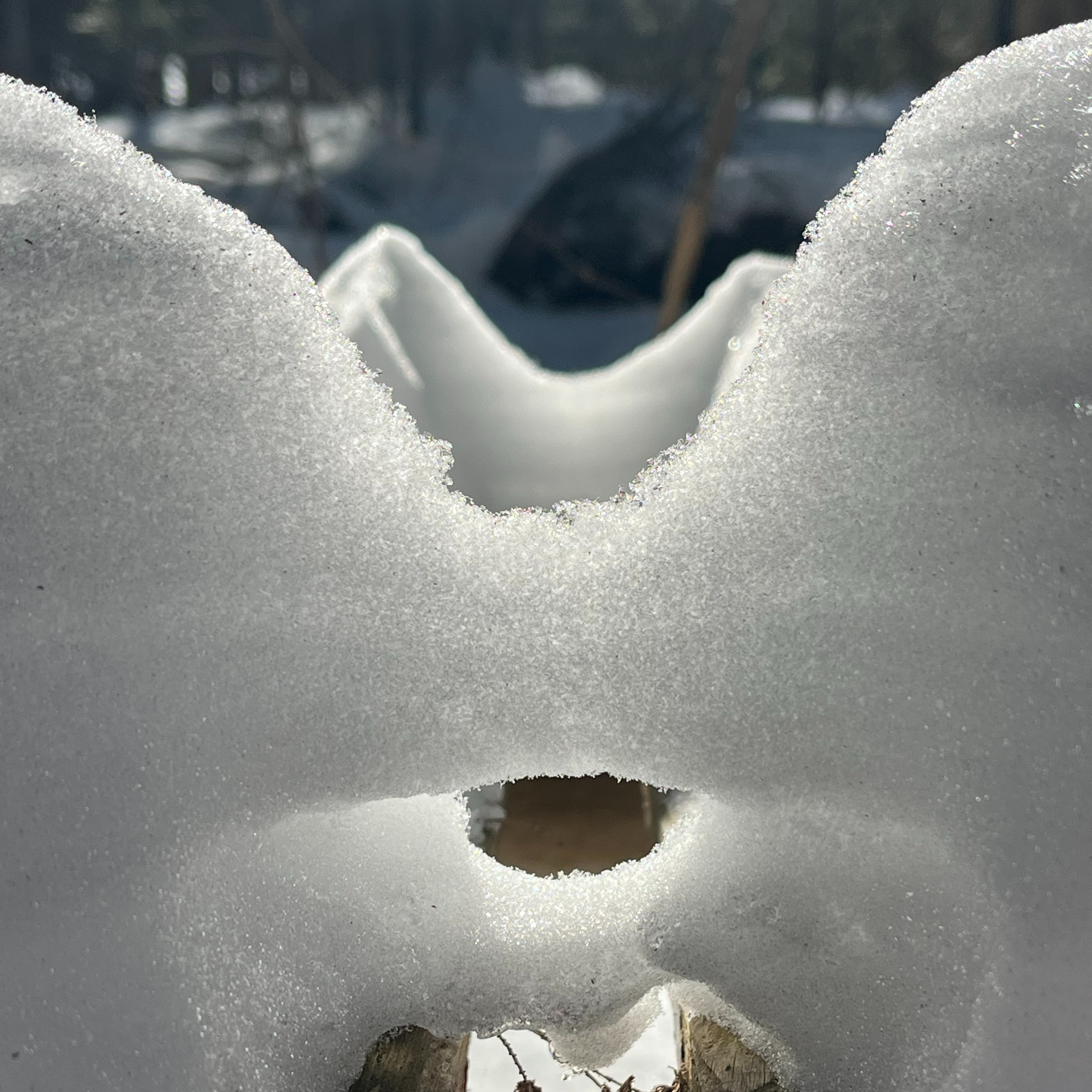 What Is Going On, Anyway?