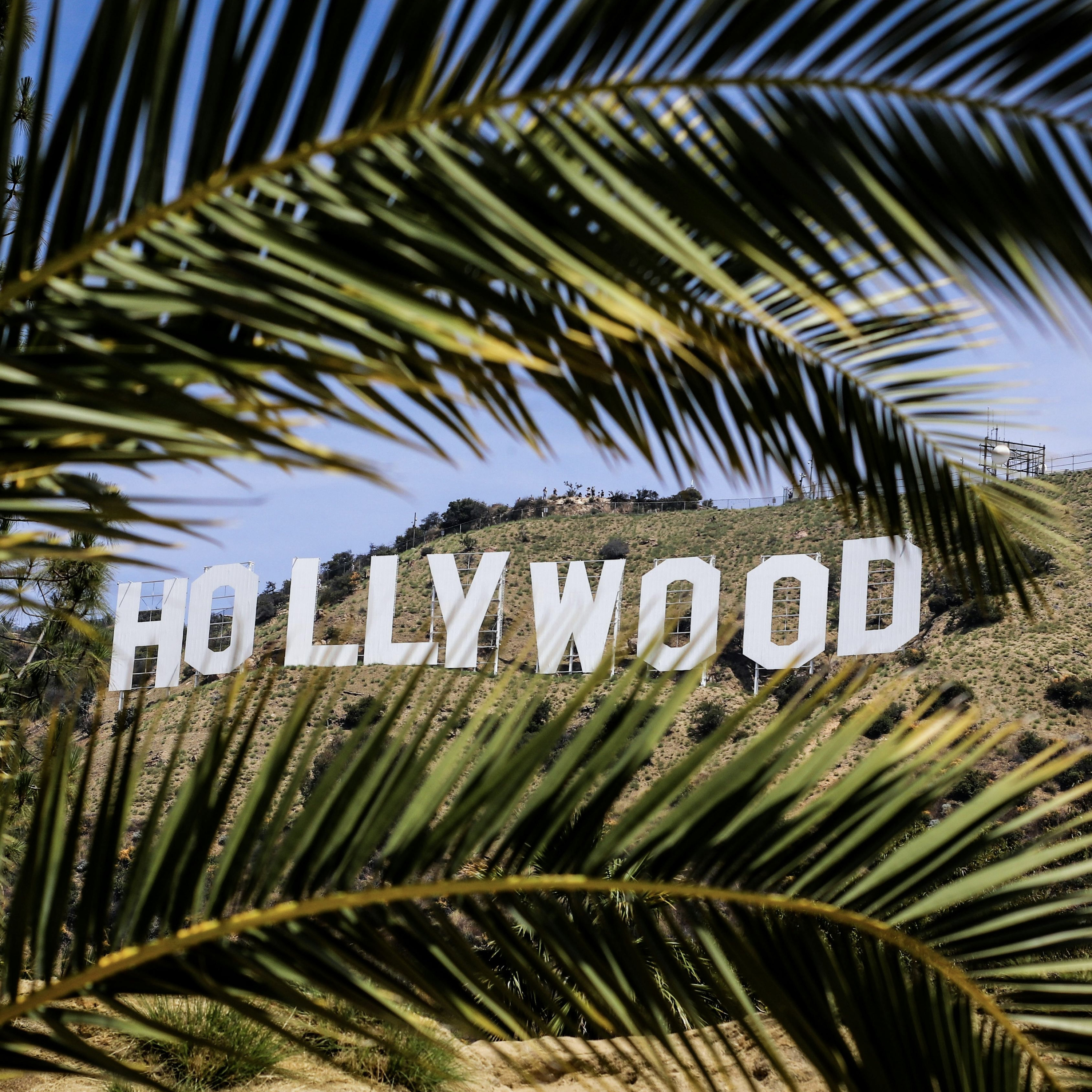 Why Do So Many Jews Work In Hollywood? - Shelach - The Parshah On Fire