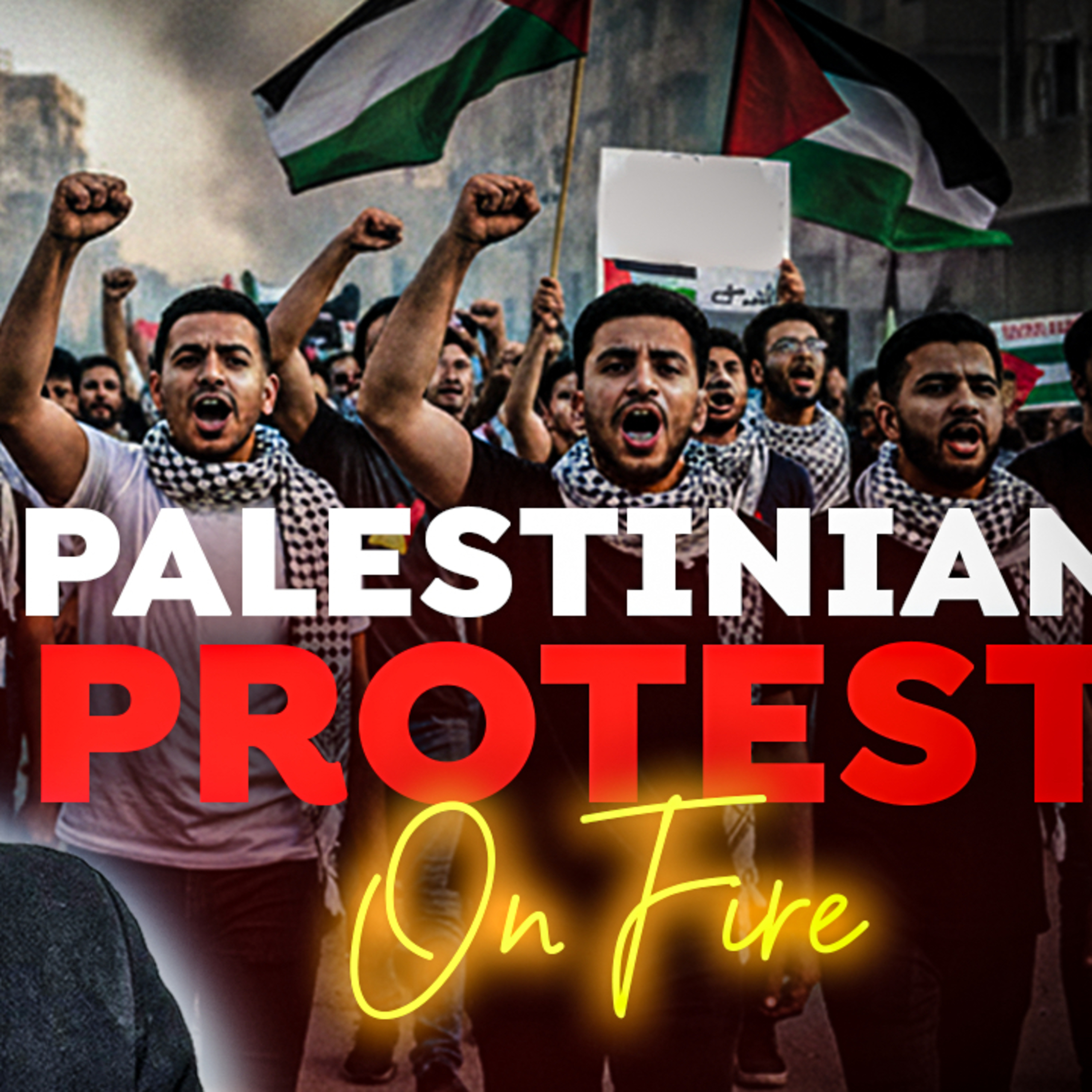I went to a Palestinian protest !