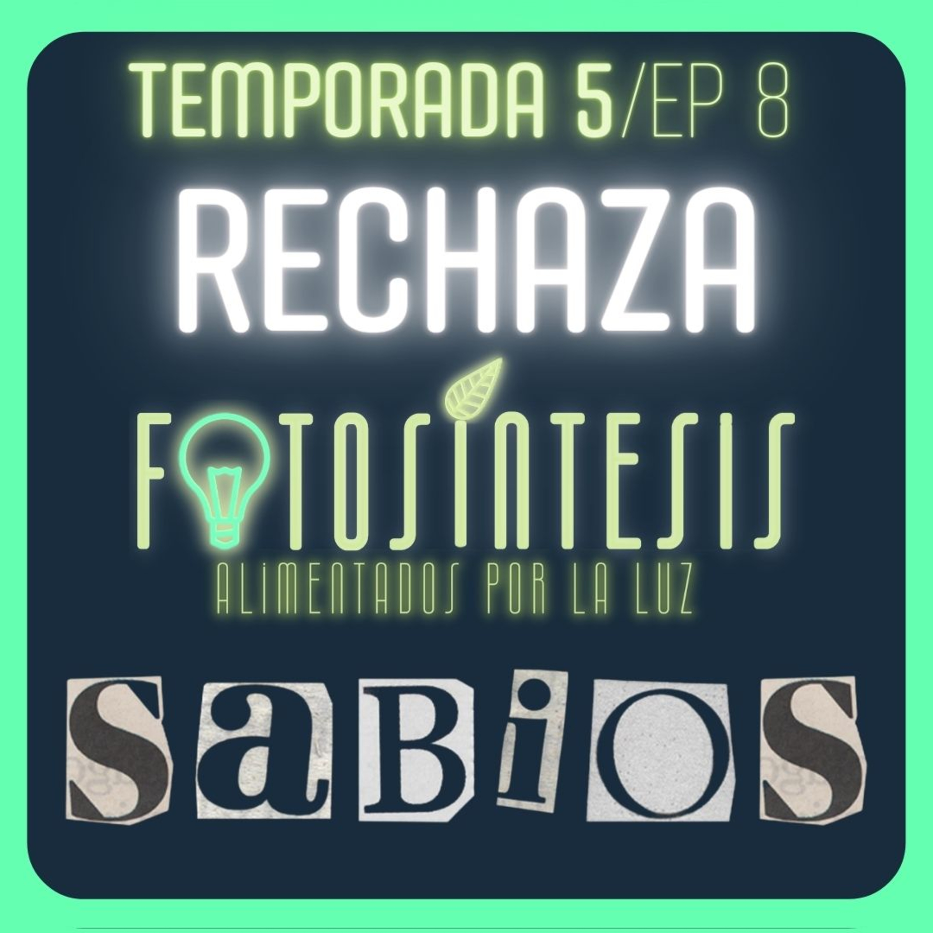 7 COSAS que rechaza la SABIDURÍA | Pr. Fabio Gil |💡SABIOS ep. 8🌿 episode artwork