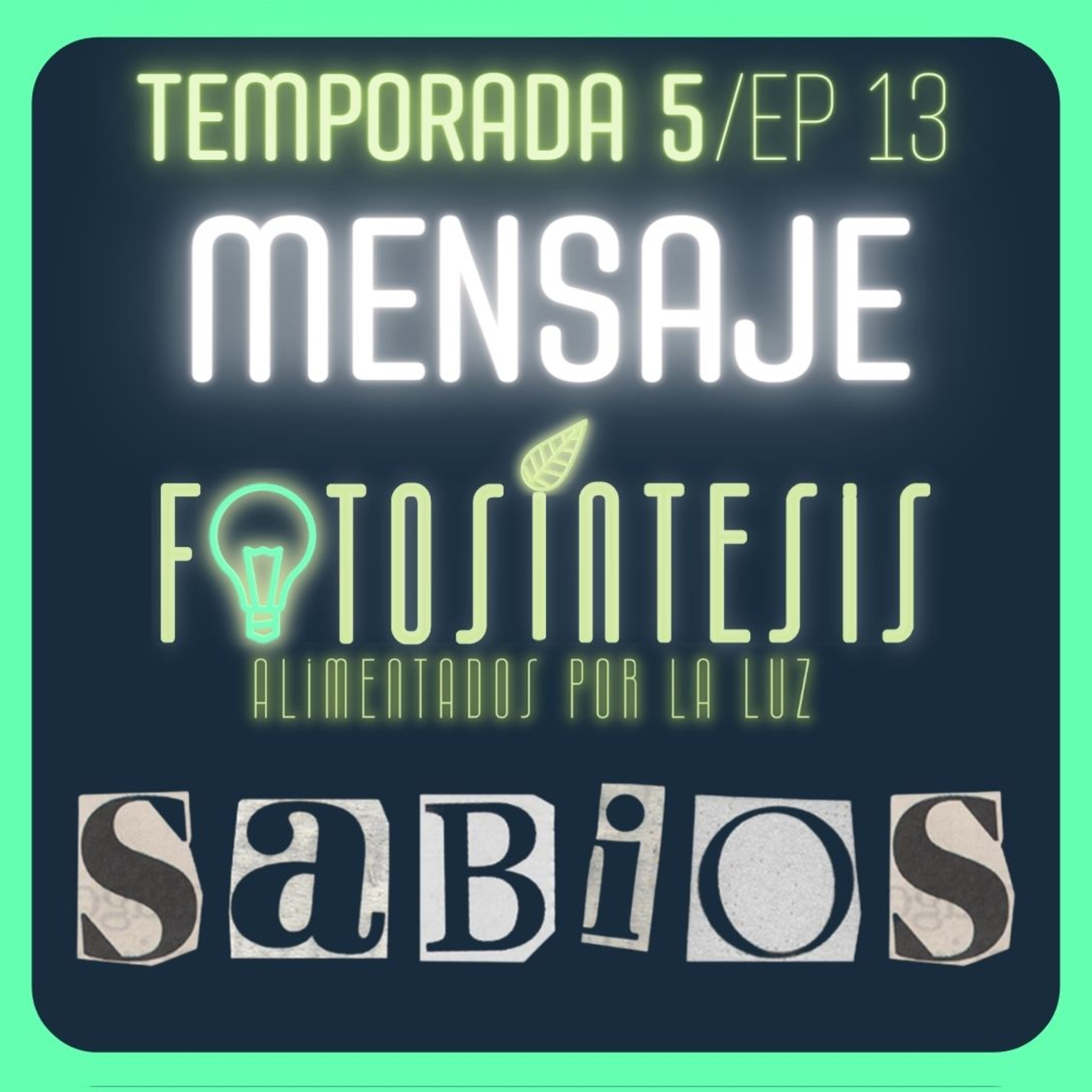 El MENSAJE de la SABIDURÍA | Pr. Mike Chaves |💡SABIOS ep. 13🌿 episode artwork