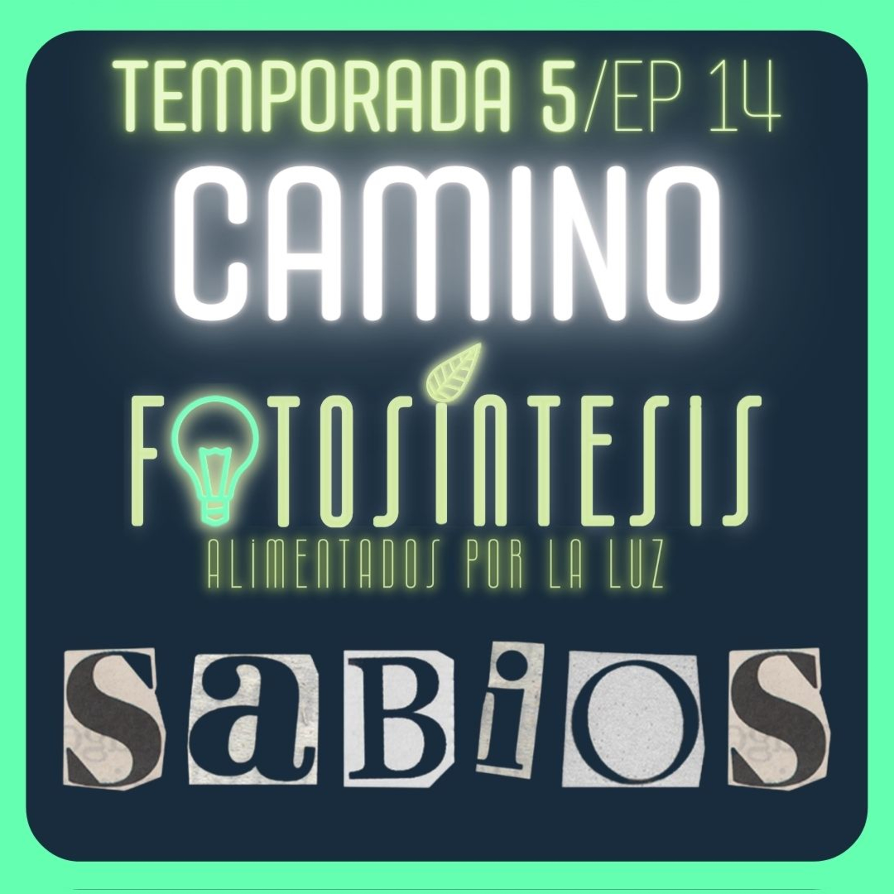 El CAMINO de la SABIDURÍA | Pr. Mike Chaves |💡SABIOS ep. 14🌿 episode artwork