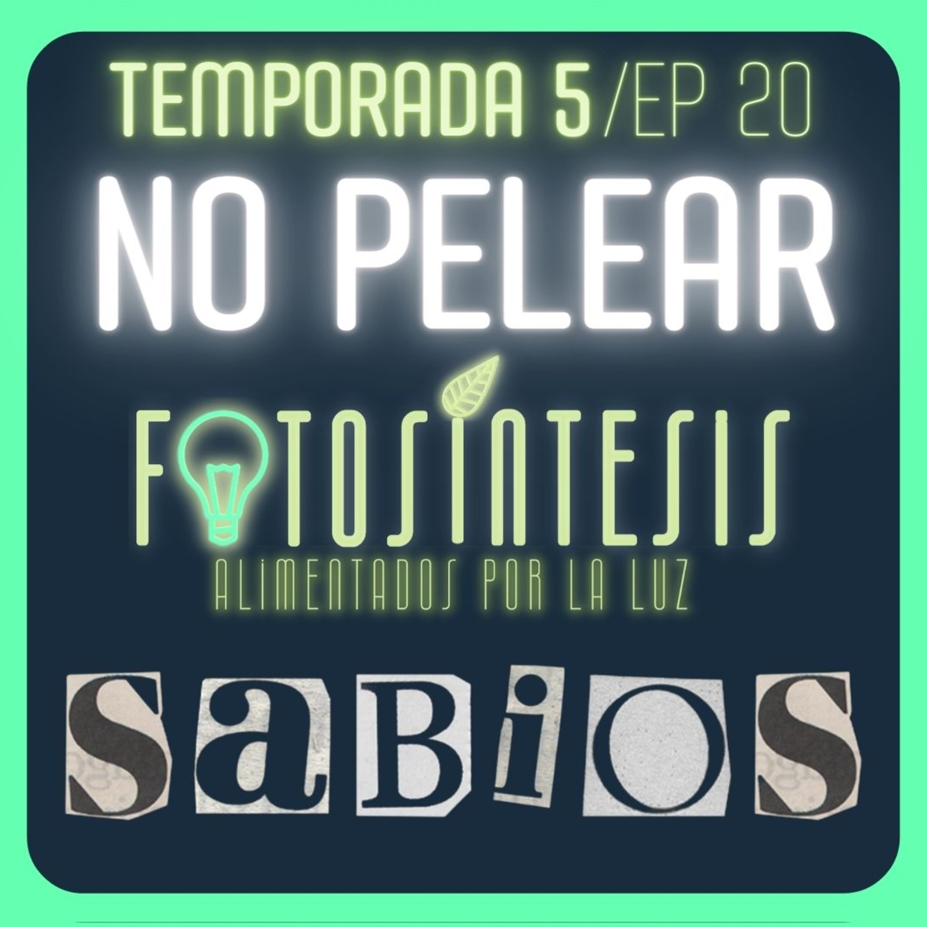 La SABIDURÍA de no PELEAR | Pra. Johanna Niño |💡SABIOS ep. 20🌿 episode artwork