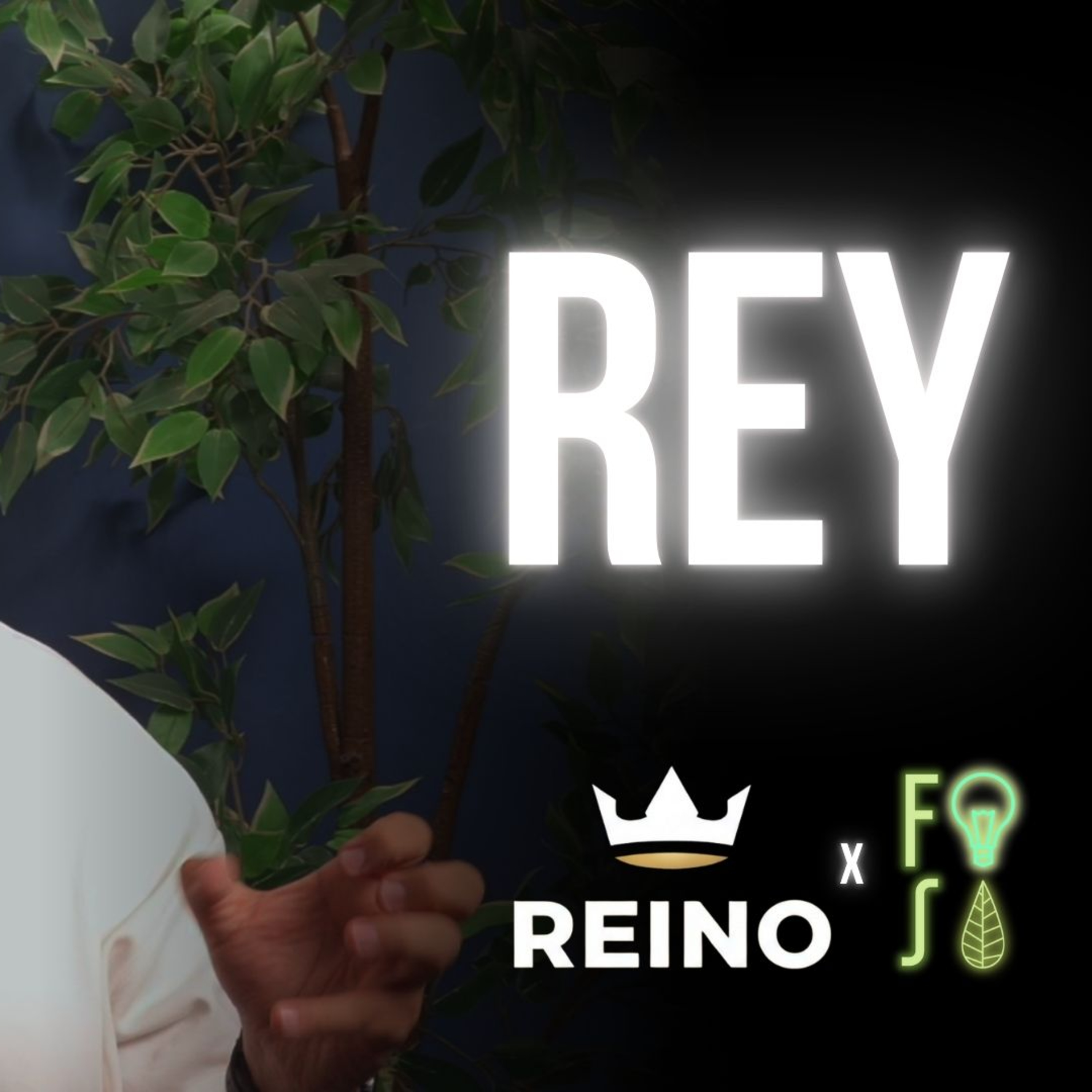 Donde está el REY está el REINO | Pastor Fabio Gil |💡#Fotosíntesis 🌱 episode artwork
