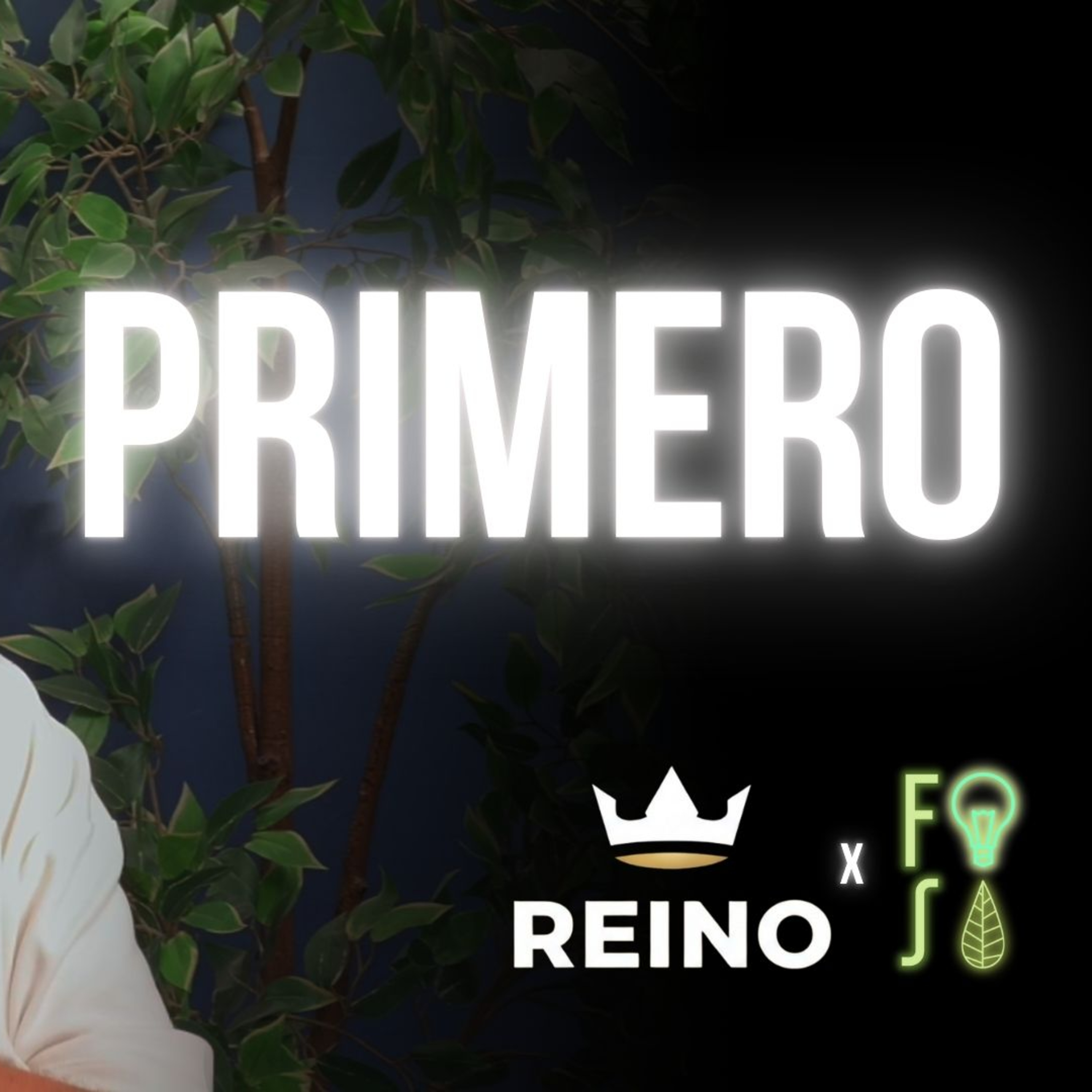 BUSQUEN PRIMERO el REINO | Pastor Fabio Gil |💡#Fotosíntesis 🌱 episode artwork