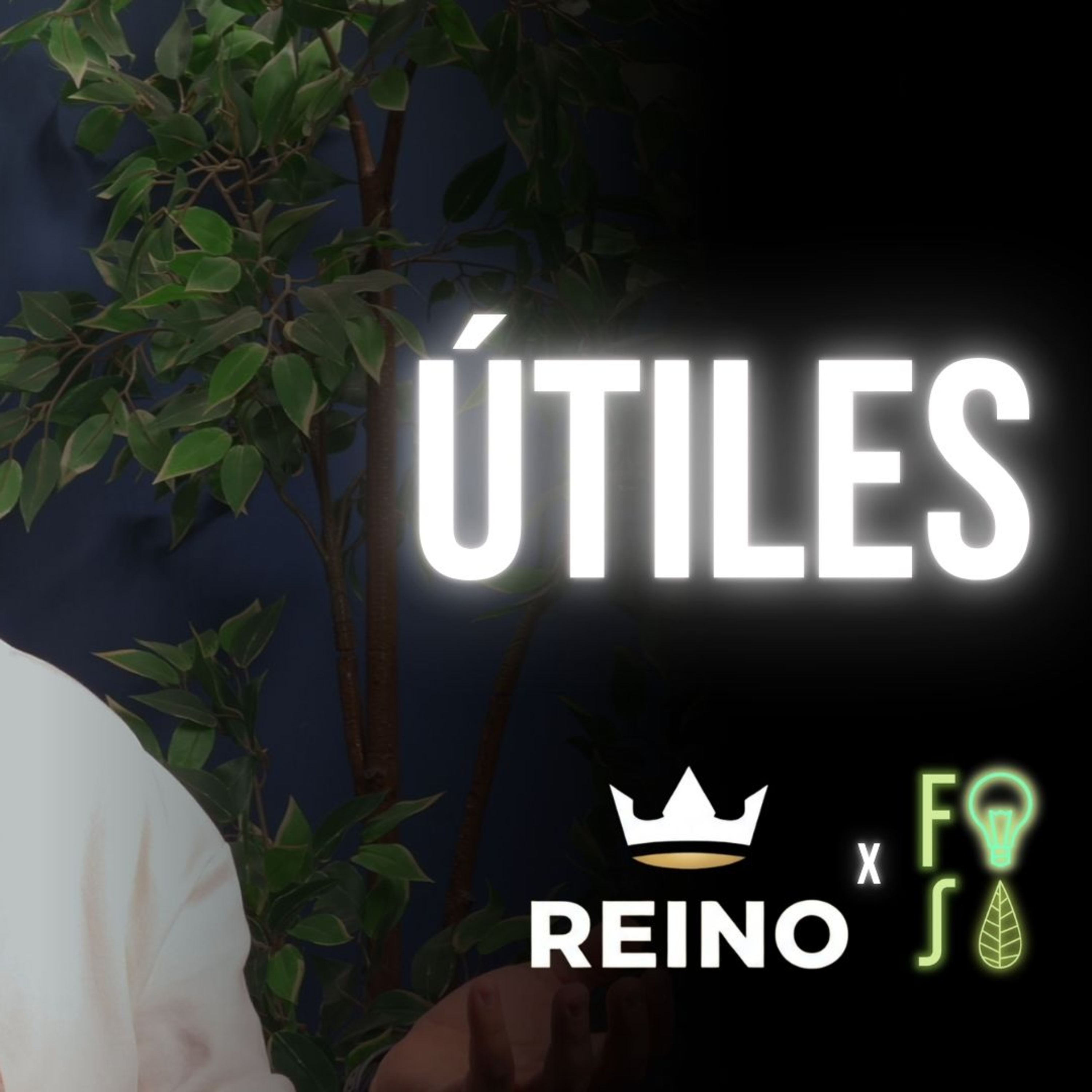 "En el REINO de Cristo somos ÚTILES" | Pastor Fabio Gil |💡#Fotosíntesis 🌱 episode artwork