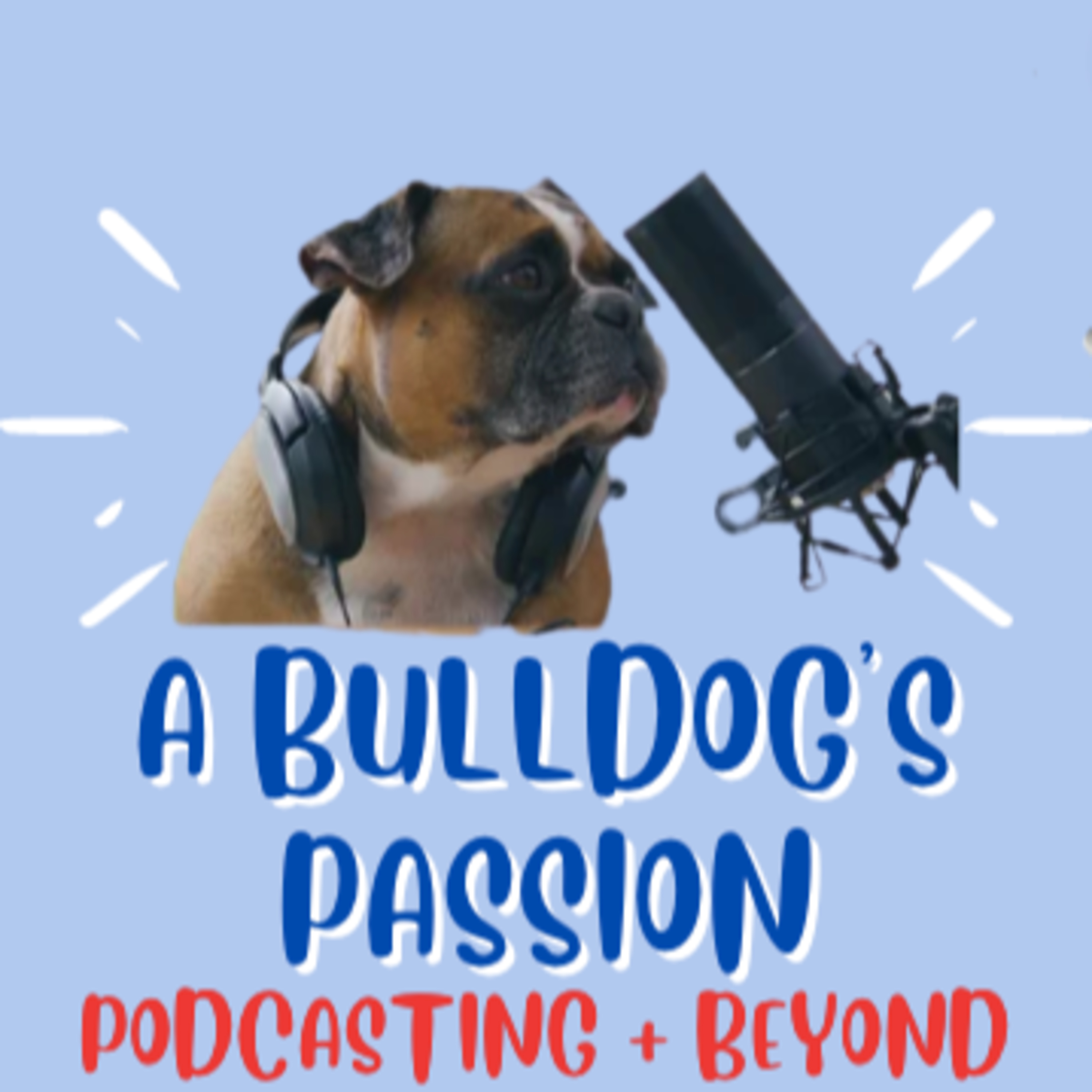 Podcasting and Beyond with Ming! 🎙🎥