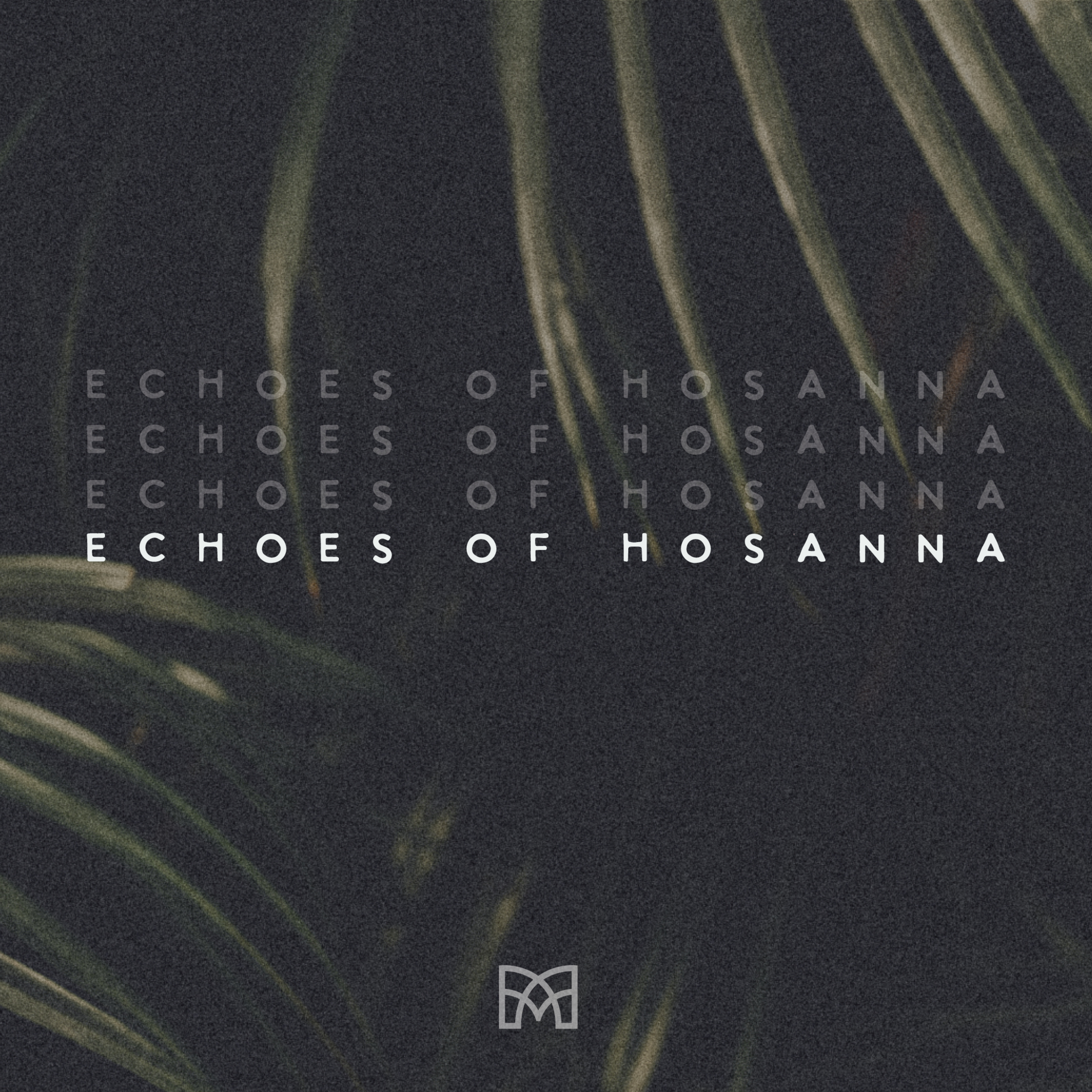 Palm Sunday 2025 - Echoes of Hosanna