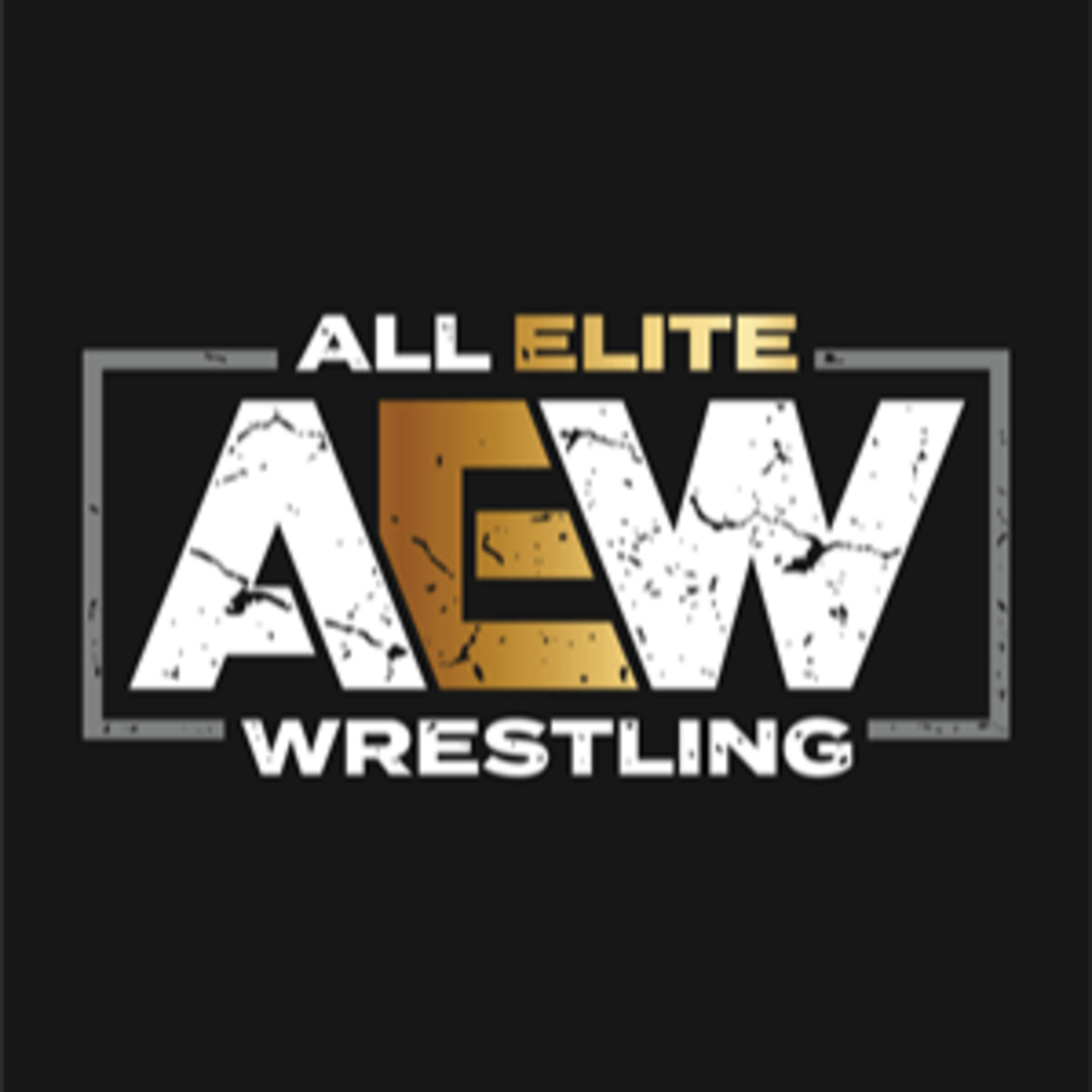 AEW Weekly 08/13/24