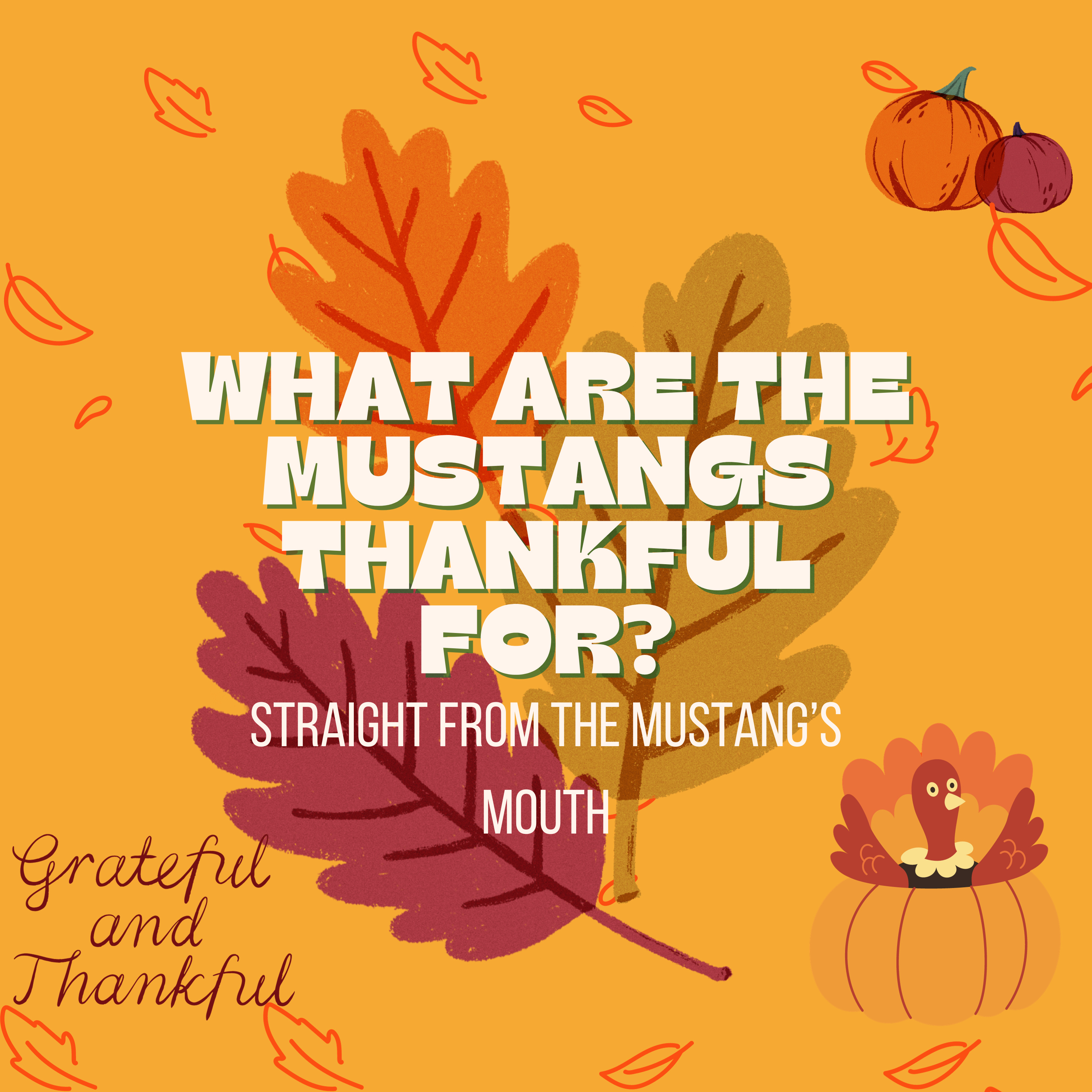 What Are the Mustangs Thankful For? episode artwork