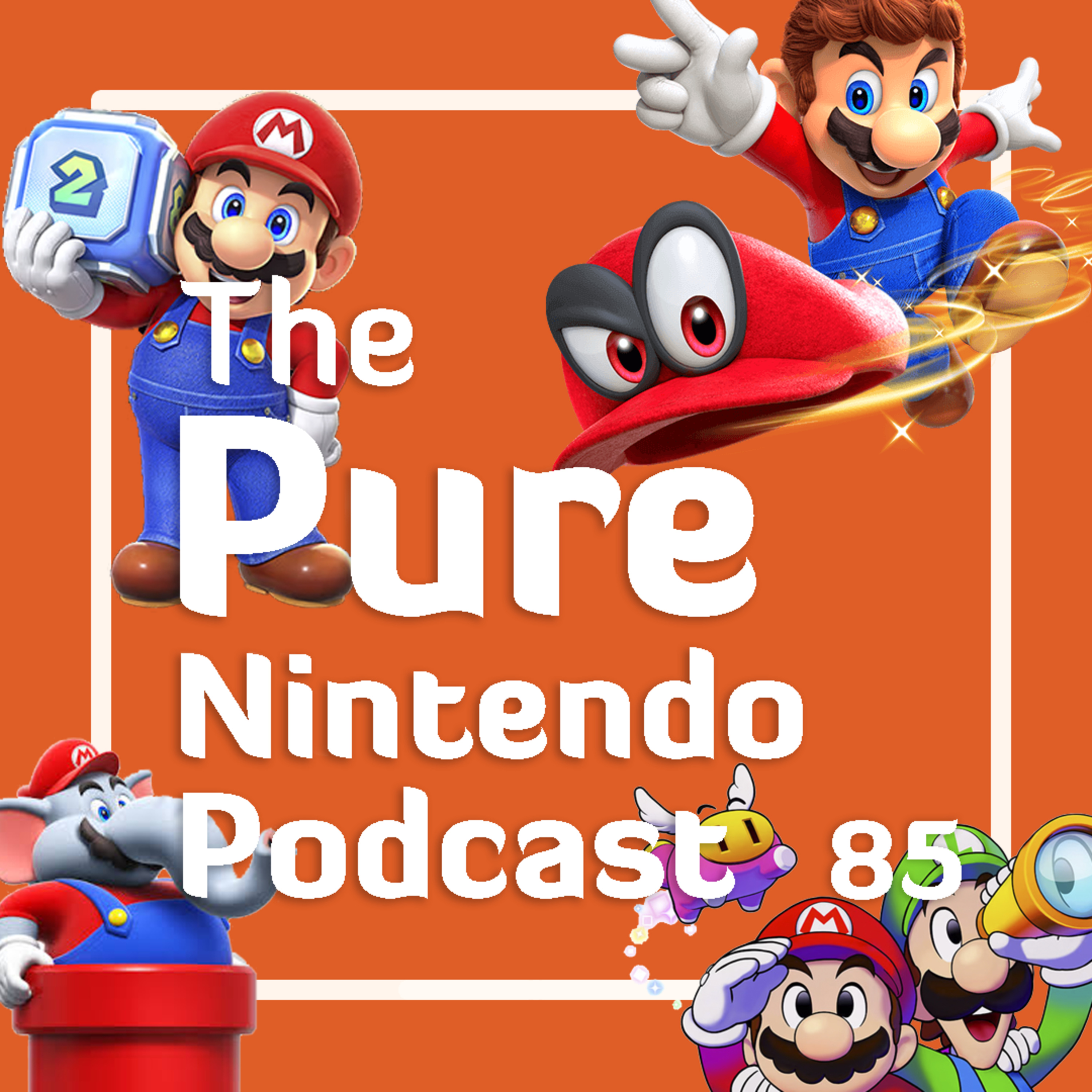 The Pure Nintendo Podcast