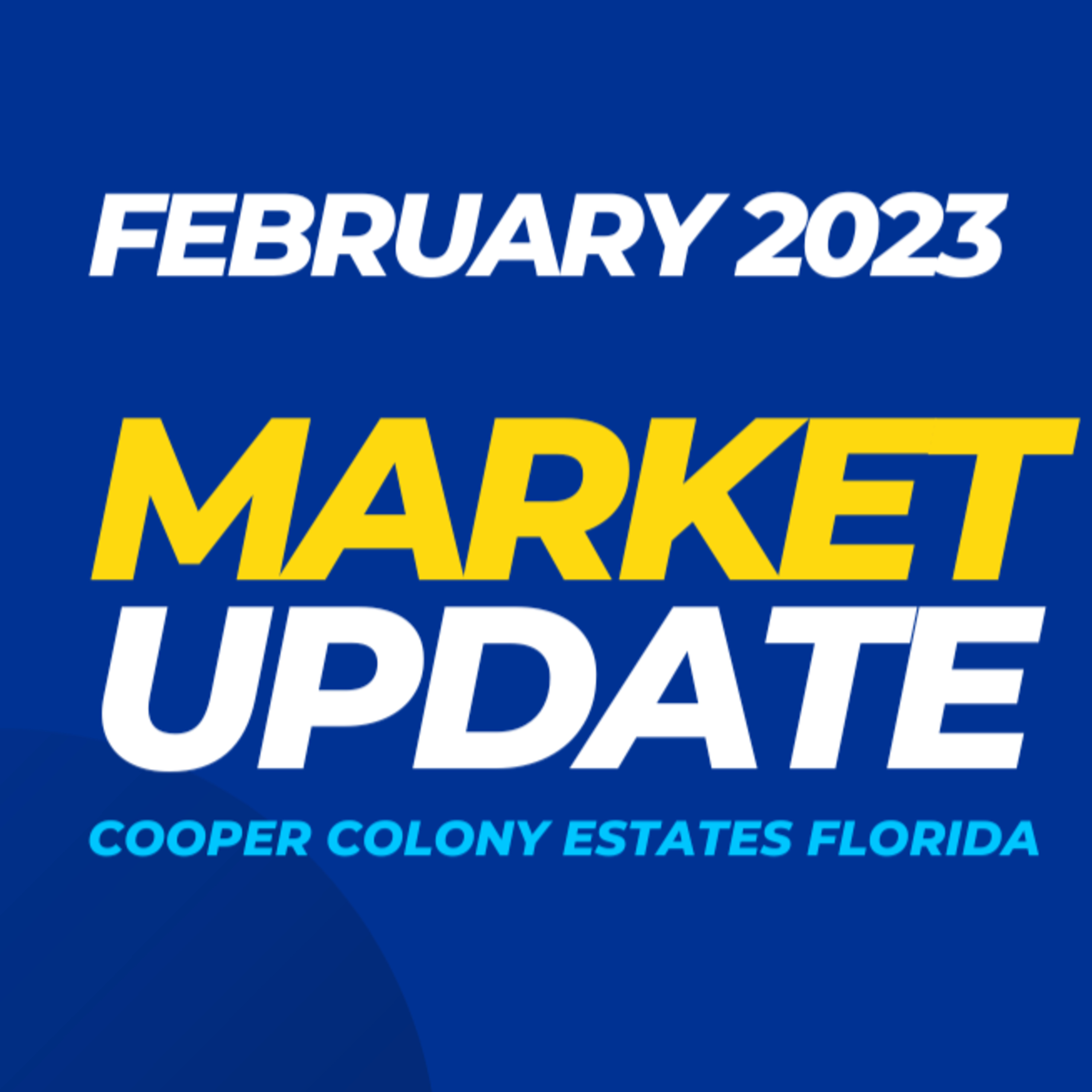 All About South Florida: Revealing the Hidden Gems of South Florida